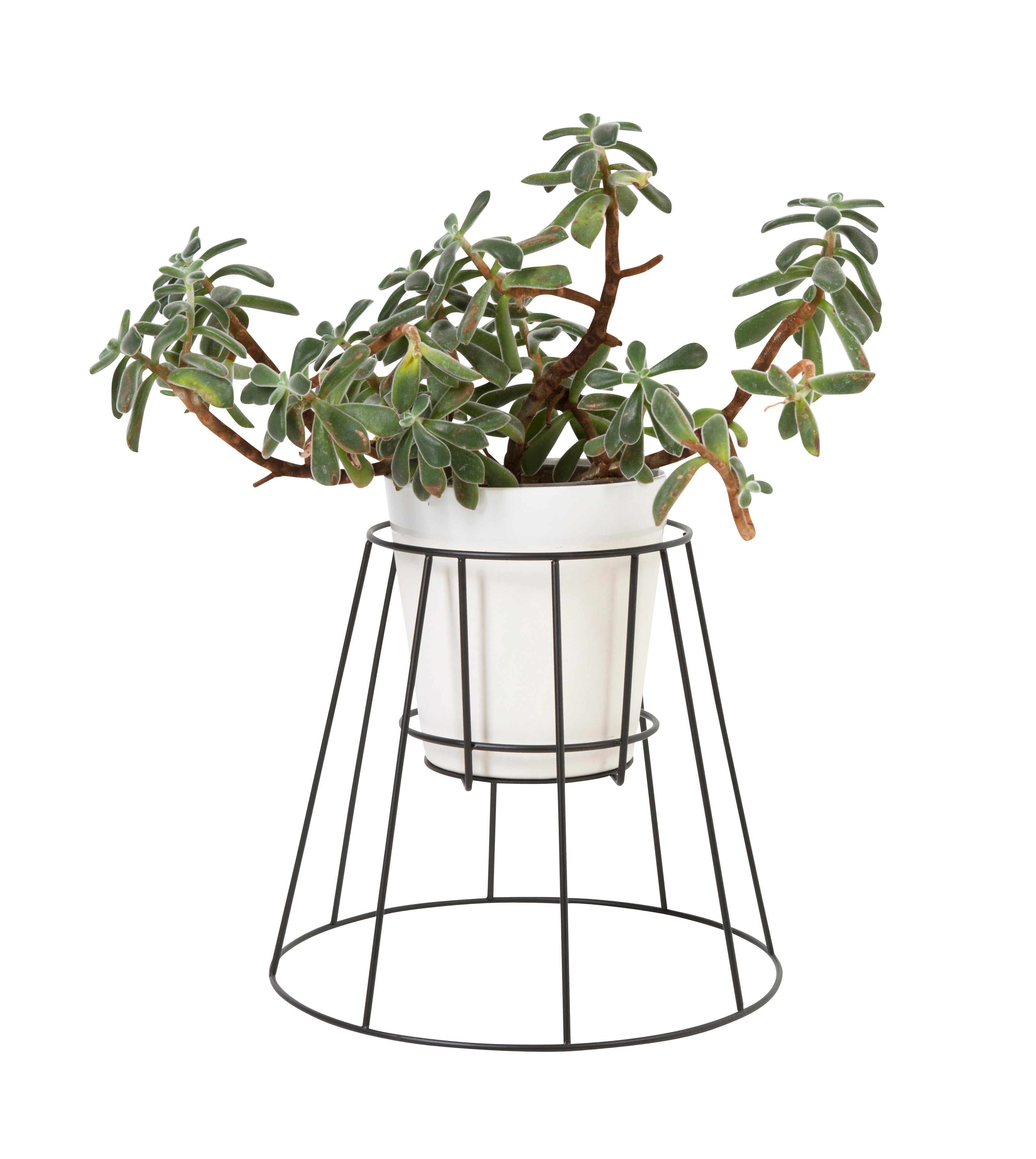 Danese Set di 3 piccoli supporti per piante Cibele neri di OK Design in vendita