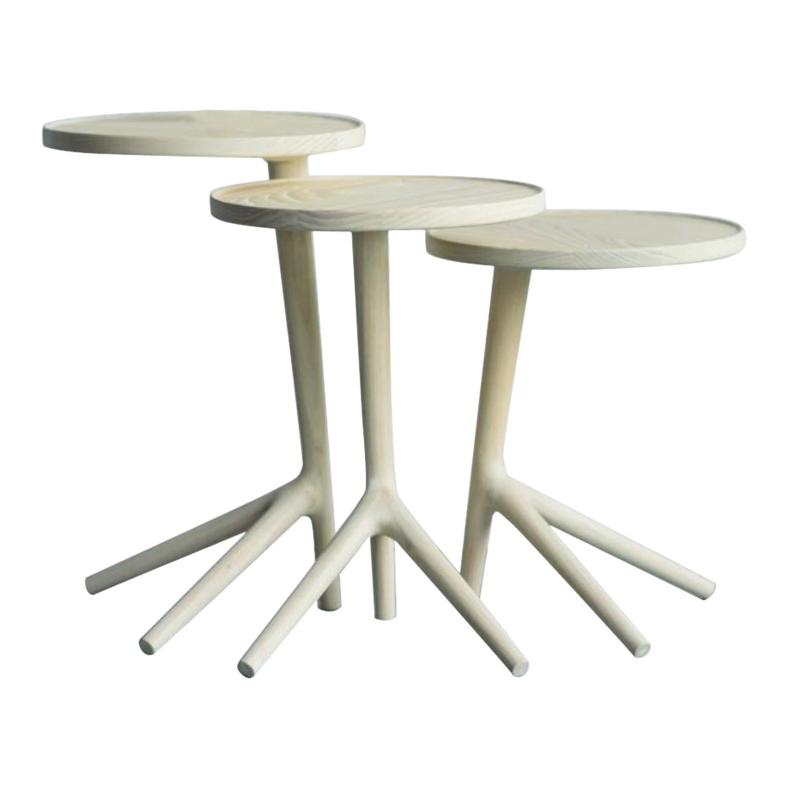 Set of 3 White Ash Tripod Table by Fernweh Woodworking