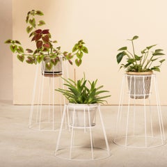 Set of 3 White Cibele Plant Stands by OK Design