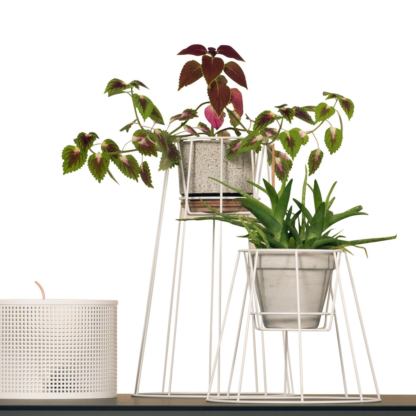 XXI secolo e contemporaneo Set di 3 piantine Cibele bianche di OK Design in vendita