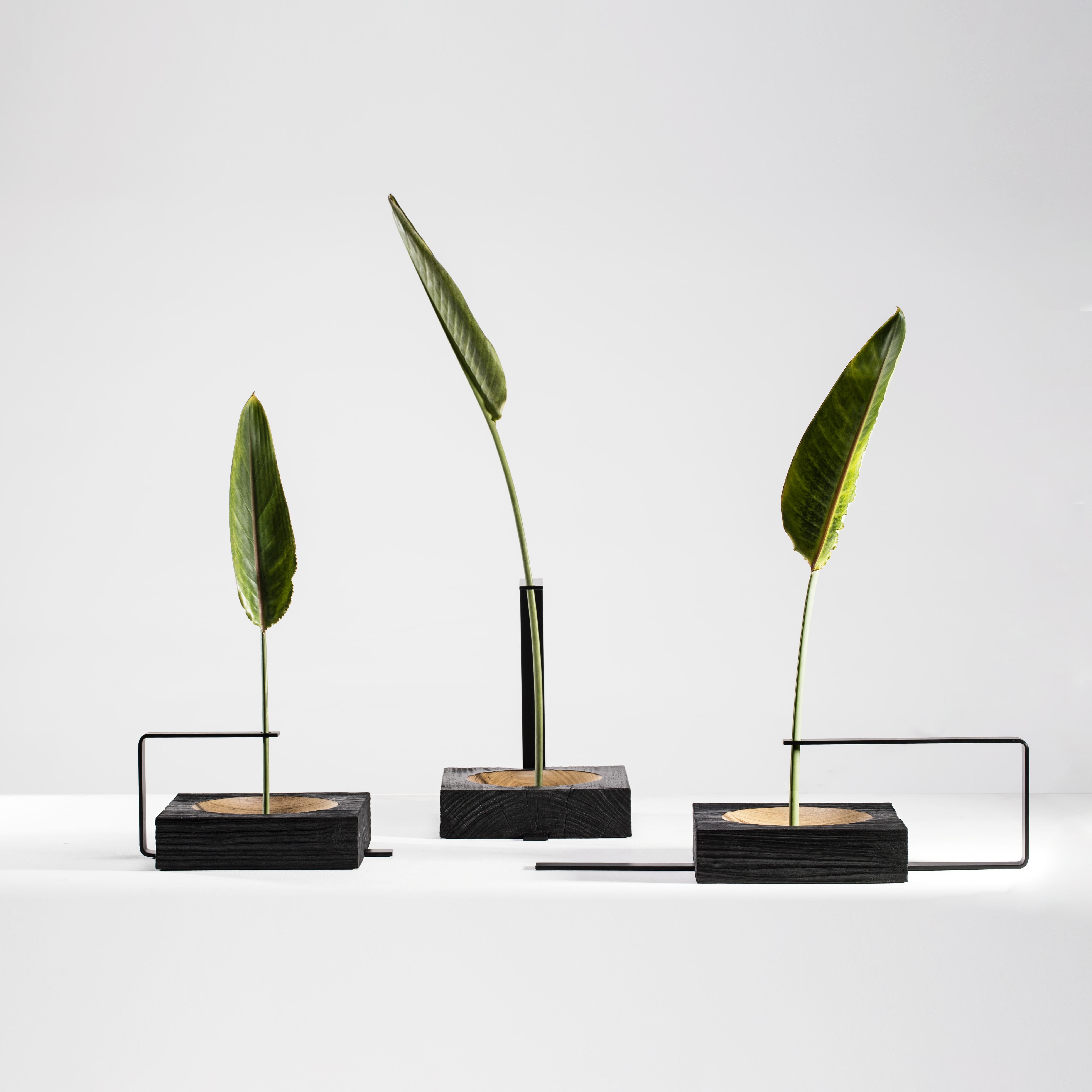 Set di 3 Vaso Torno in legno e alluminio di Andre Ferri Atelier
Dimensioni: L 25 x P 60 x H 15,5 cm
L 25 x P 32 x H 15,5 cm
L 25 x P 29 x H 32 cm 
Materiali: Wood, Alluminio.  


ANDRÉ FERRI
André Ferri è di Belo Horizonte, nato nel 1990, laureato