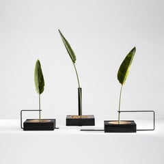Set di 3 Vaso Torno in legno e alluminio di Andre Ferri Atelier