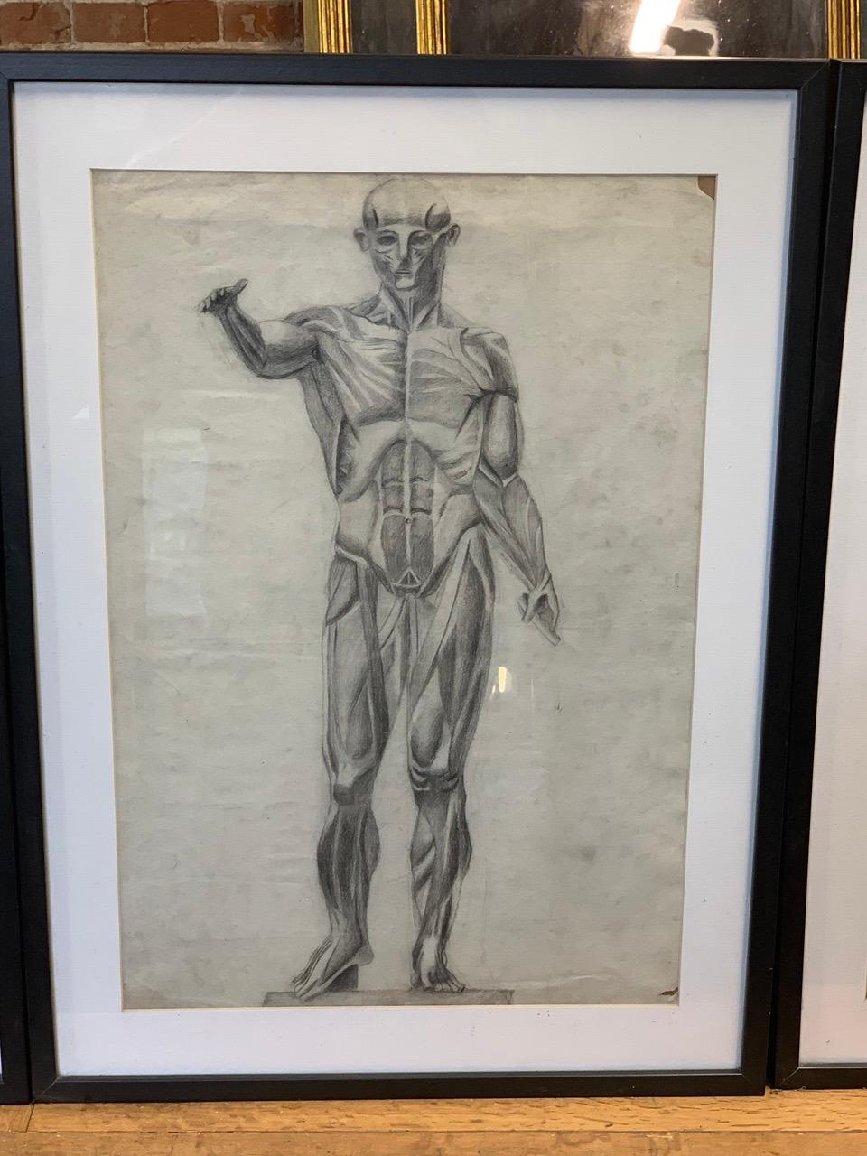 Set of 3 x 19th Century Charcoal Drawings In Good Condition For Sale In Ongar, GB