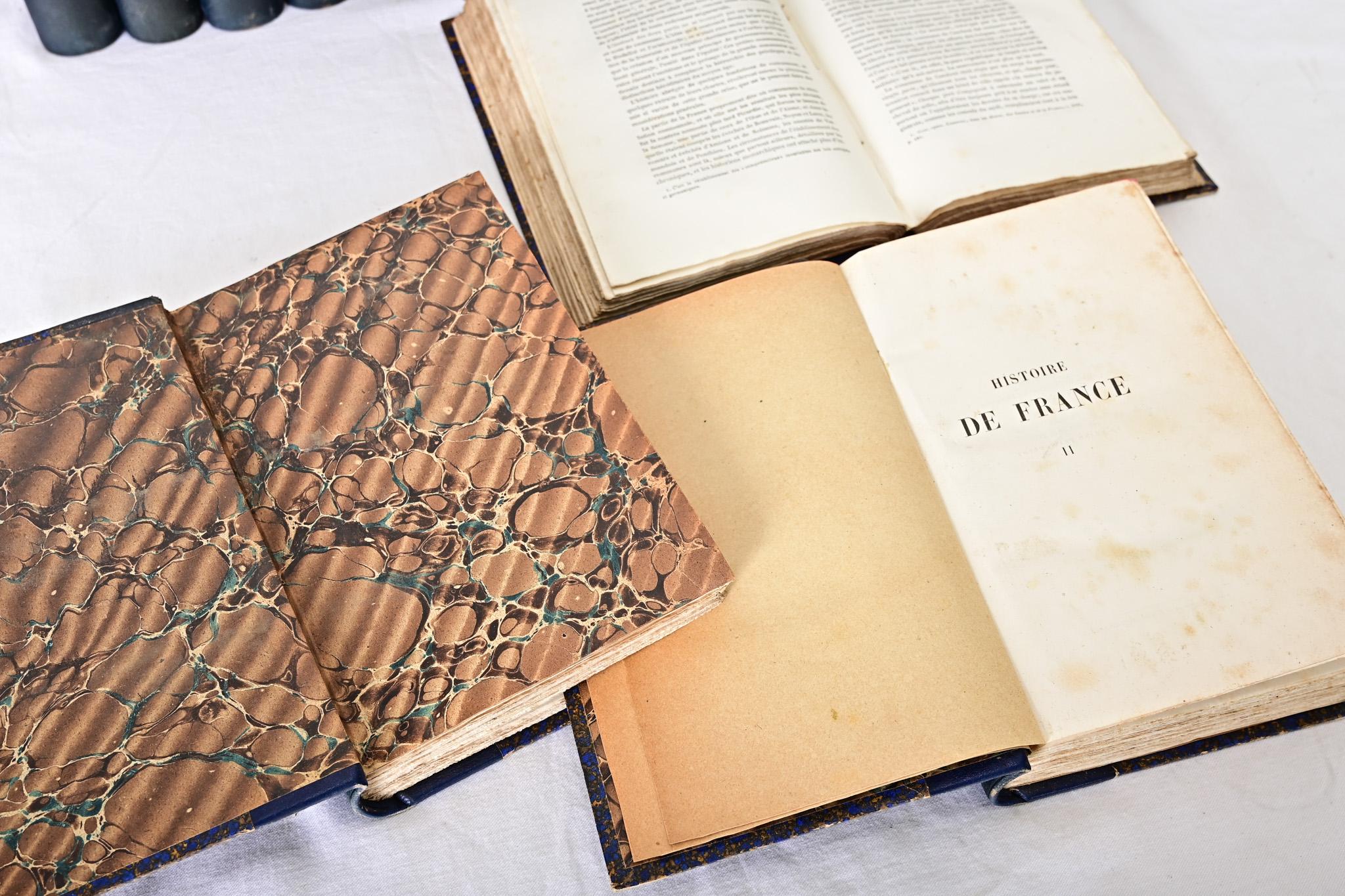 Other Set of 30 Books on Goethe For Sale