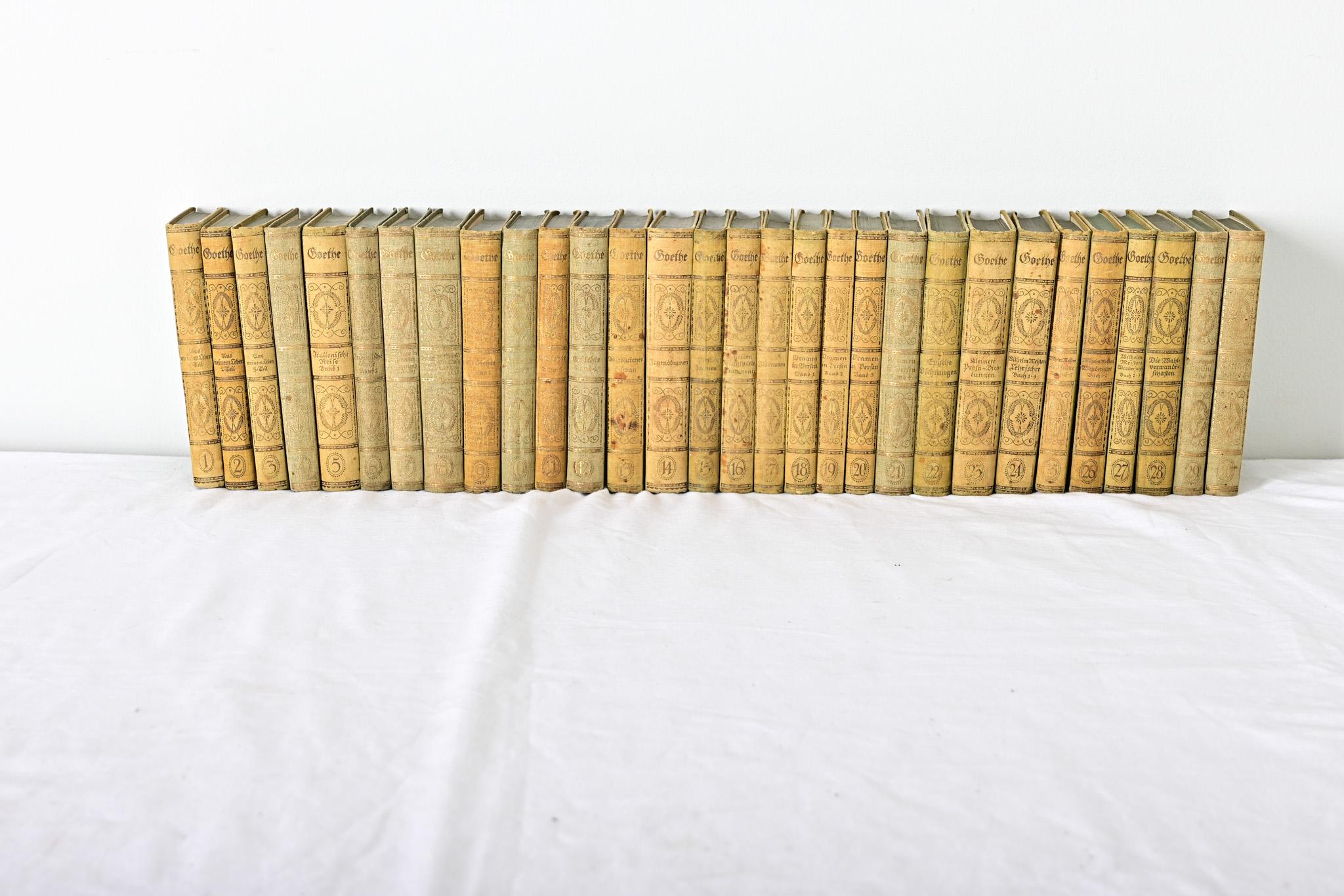 German Set of 30 Books on Goethe For Sale