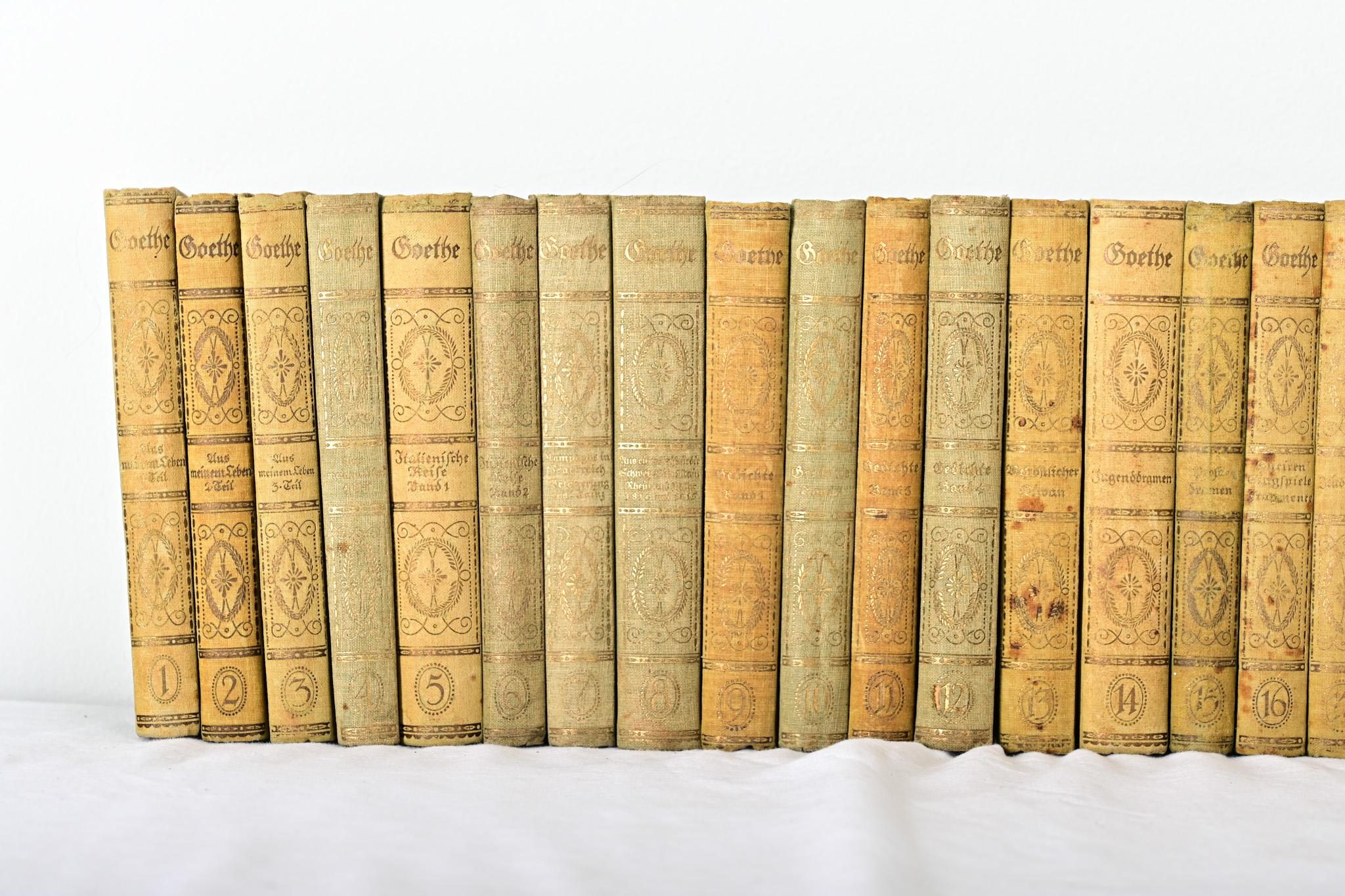 Other Set of 30 Books on Goethe For Sale