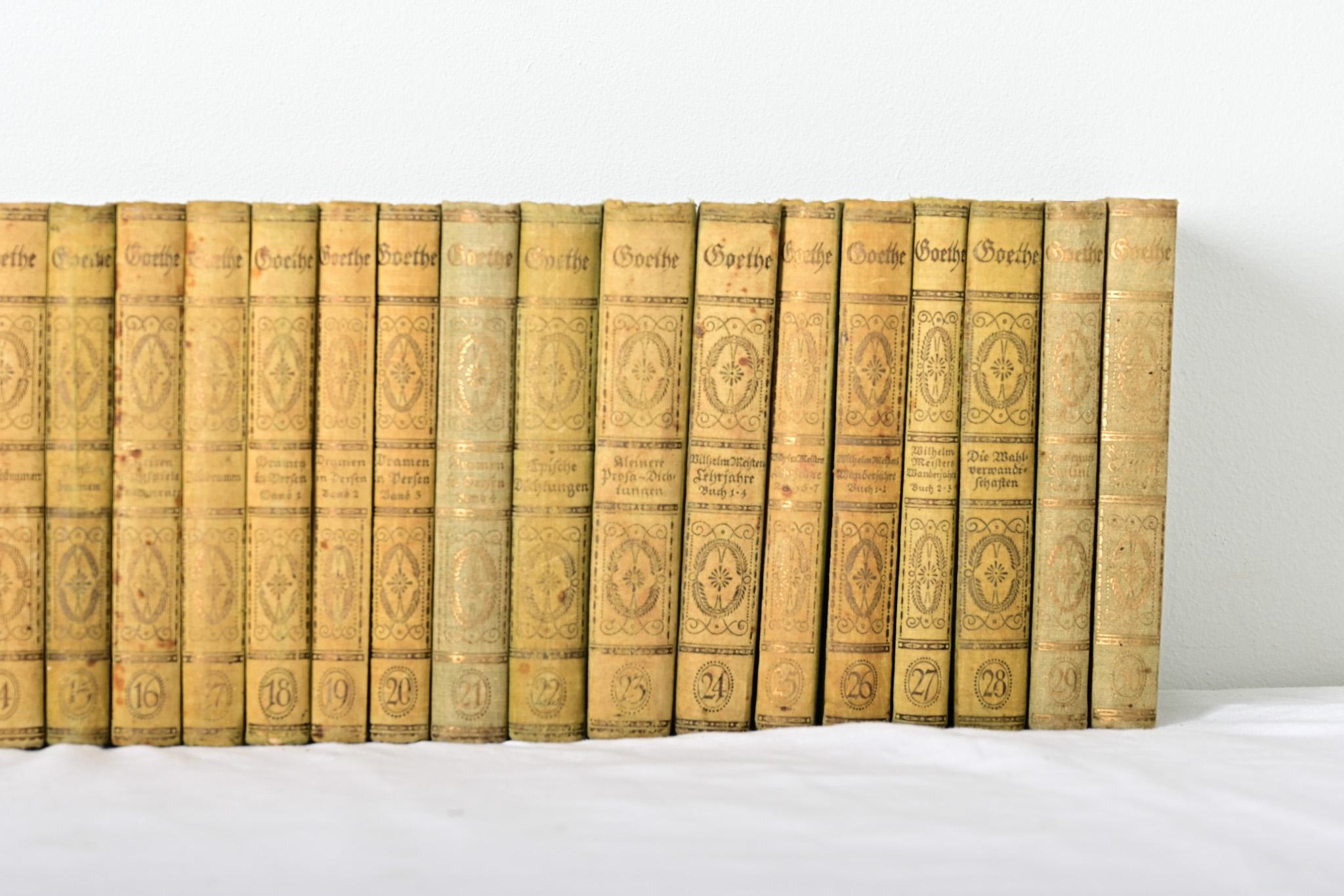 Set of 30 Books on Goethe In Good Condition For Sale In Baton Rouge, LA