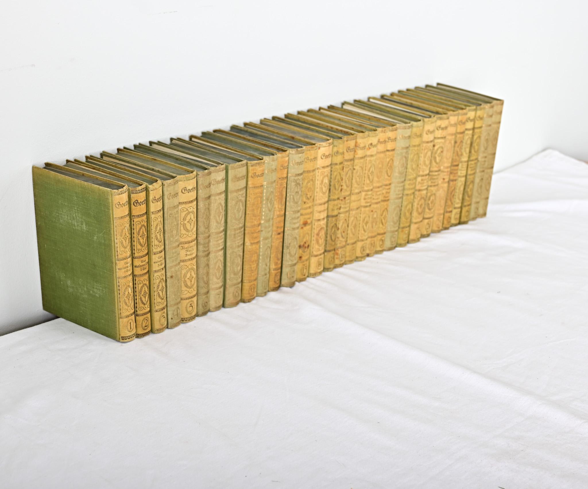 Paper Set of 30 Books on Goethe For Sale