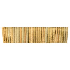 Set of 30 Books on Goethe