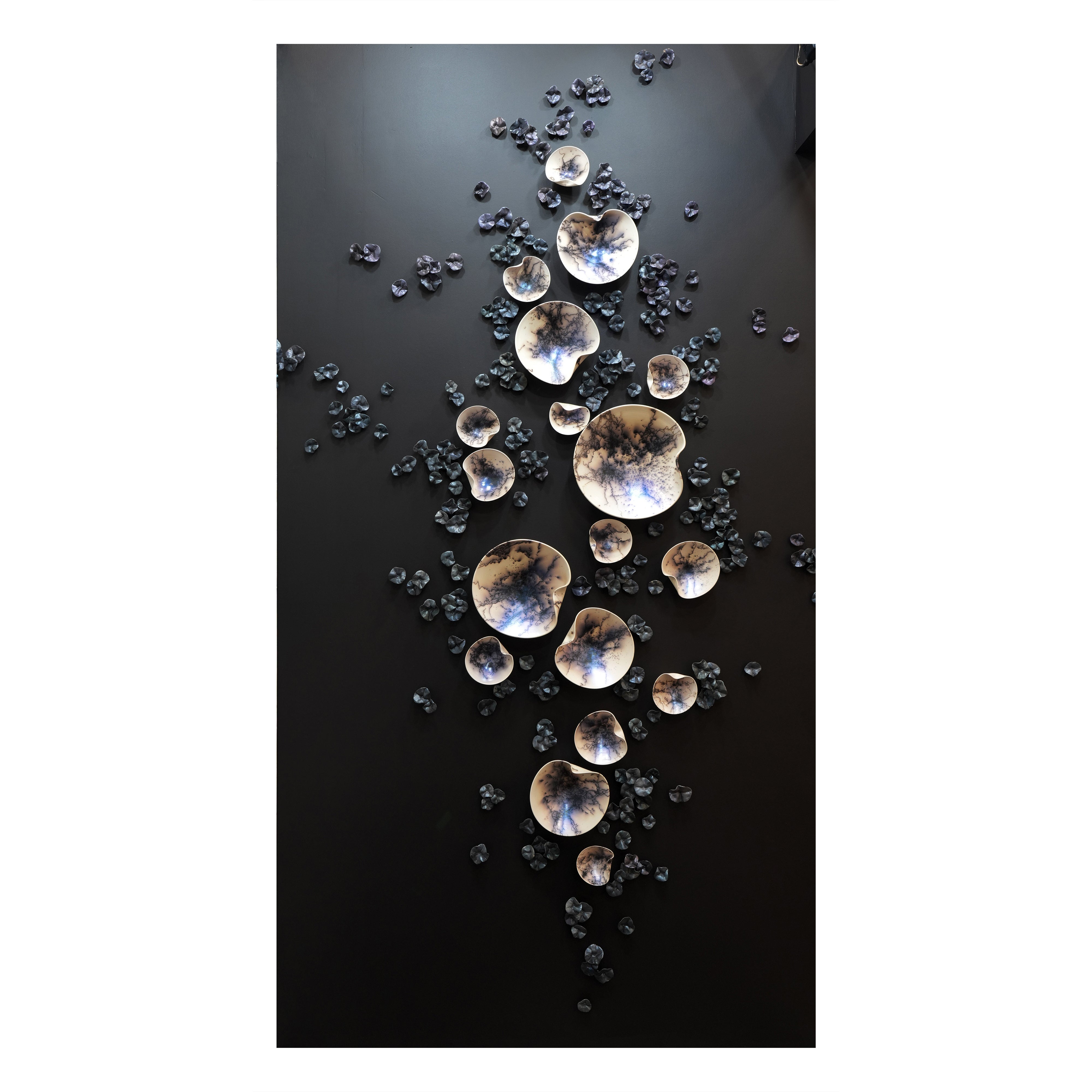 Set Of 300 Midnight Bloom Wall Sculpture in Porcelain by Natalya Sevastyanova