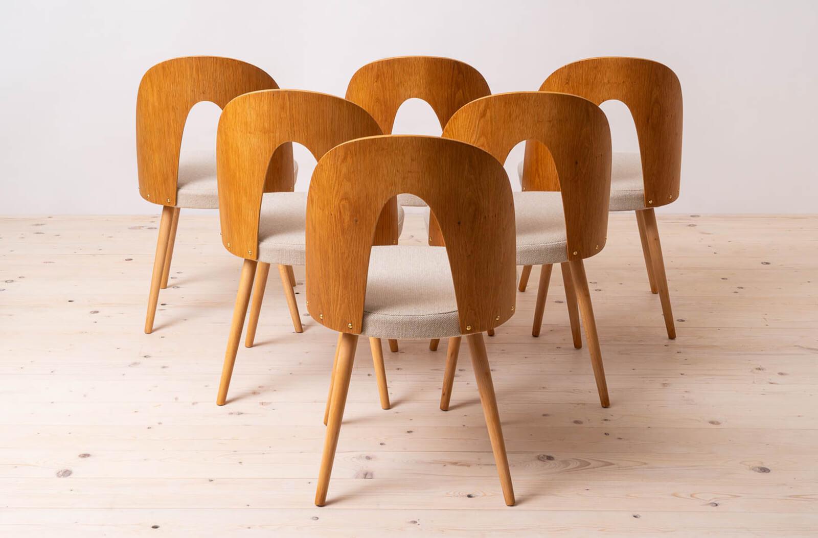 Juego de 32 sillas de comedor Mid Century, A. Suman, tapicería personalizable disponible en Bueno estado para la venta en Wrocław, Poland