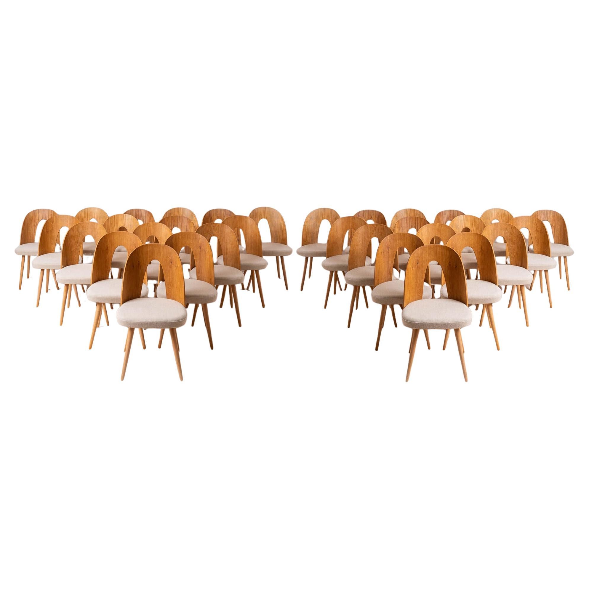 Set of 32 Mid Century Dining Chairs, A. Suman, Customizable Upholstery Available
