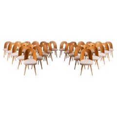 Set of 32 Mid Century Dining Chairs, A. Suman, Customizable Upholstery Available