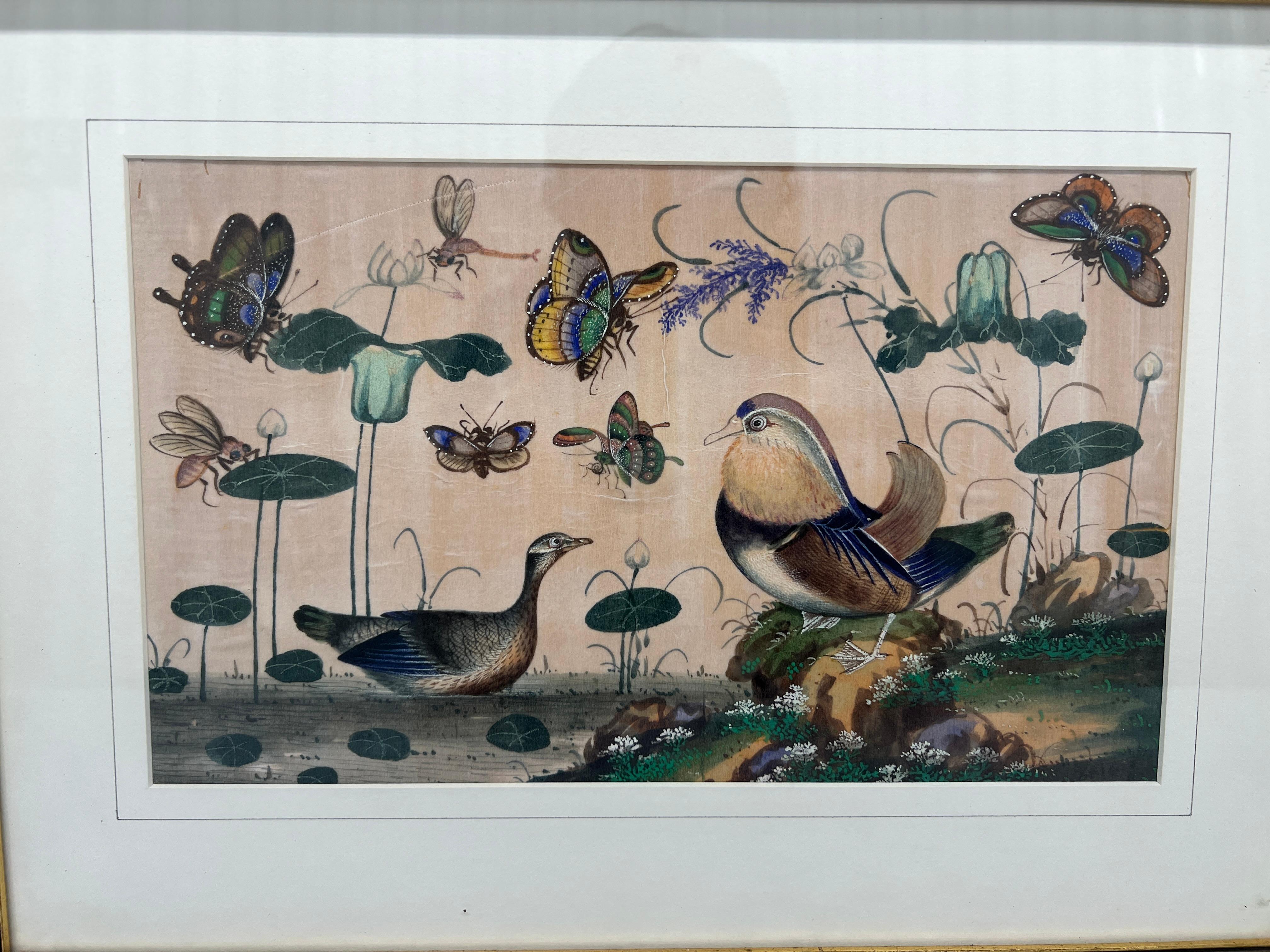Set of 4, 19th Century Chinese Export Ornithological Pith Paintings 7