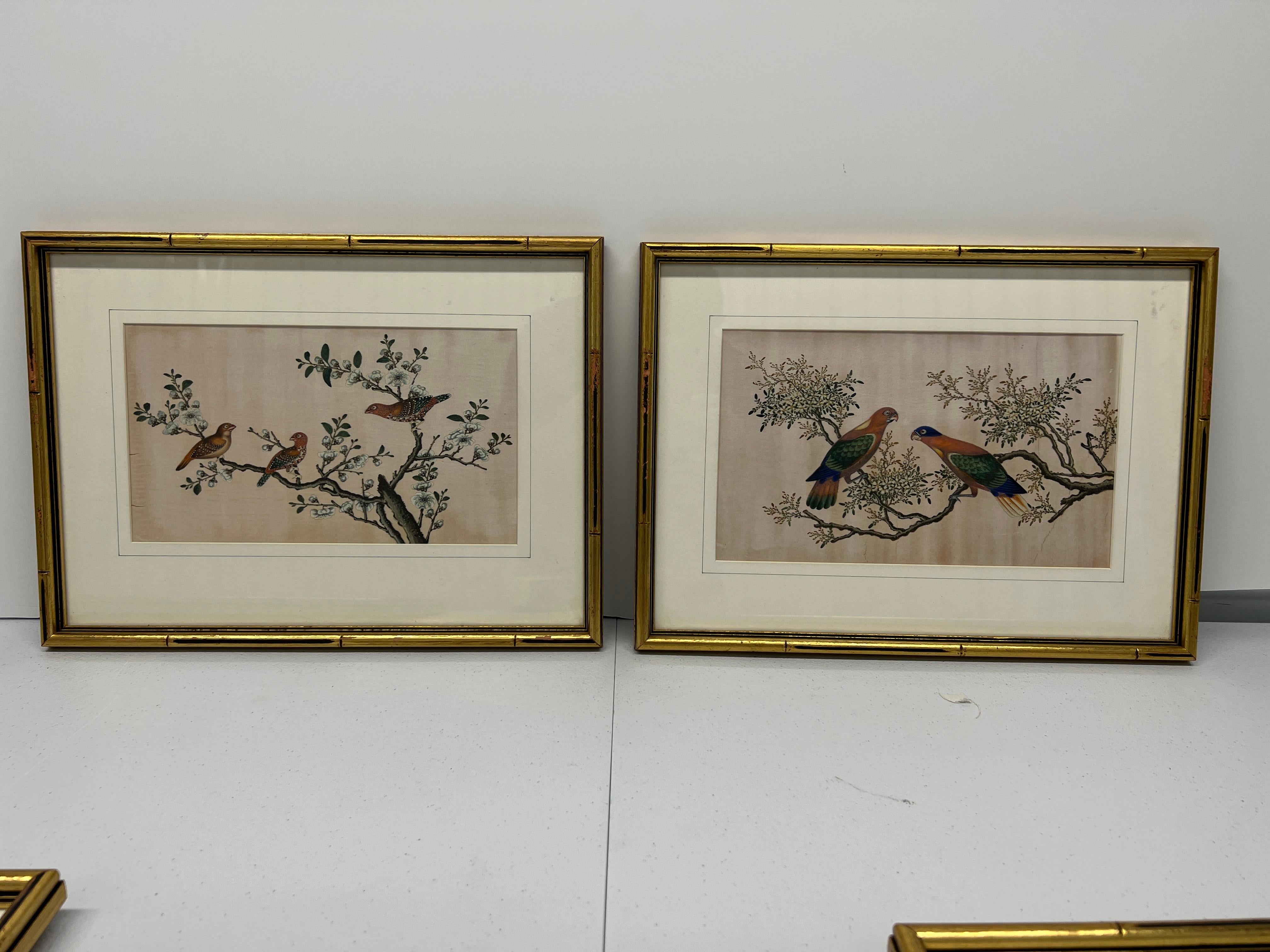 Chinese export, circa 1850. 

Experience the delicate beauty of 19th-century Chinese artistry with this exquisite set of four Chinese Export ornithological pith paintings. Each painting is a testament to the meticulous skill and aesthetic