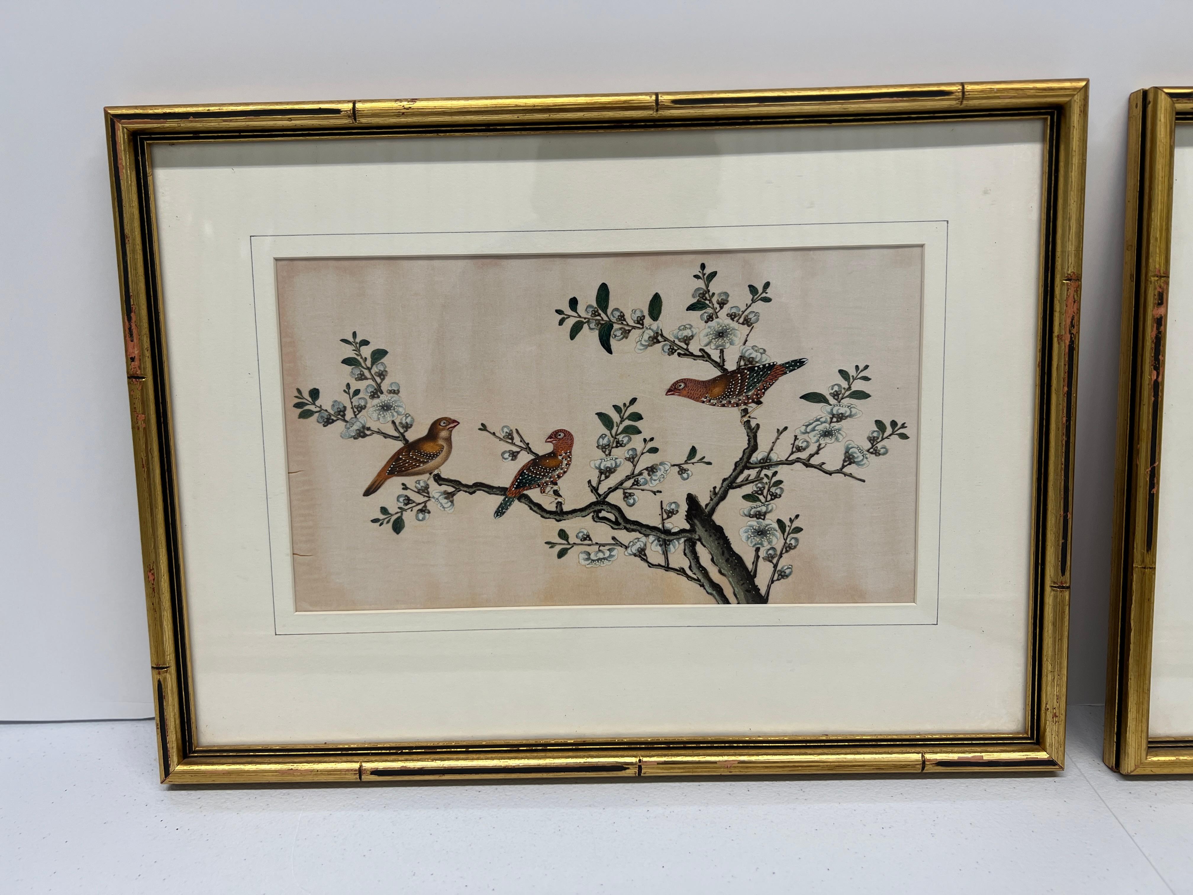 Set of 4, 19th Century Chinese Export Ornithological Pith Paintings In Good Condition In Atlanta, GA