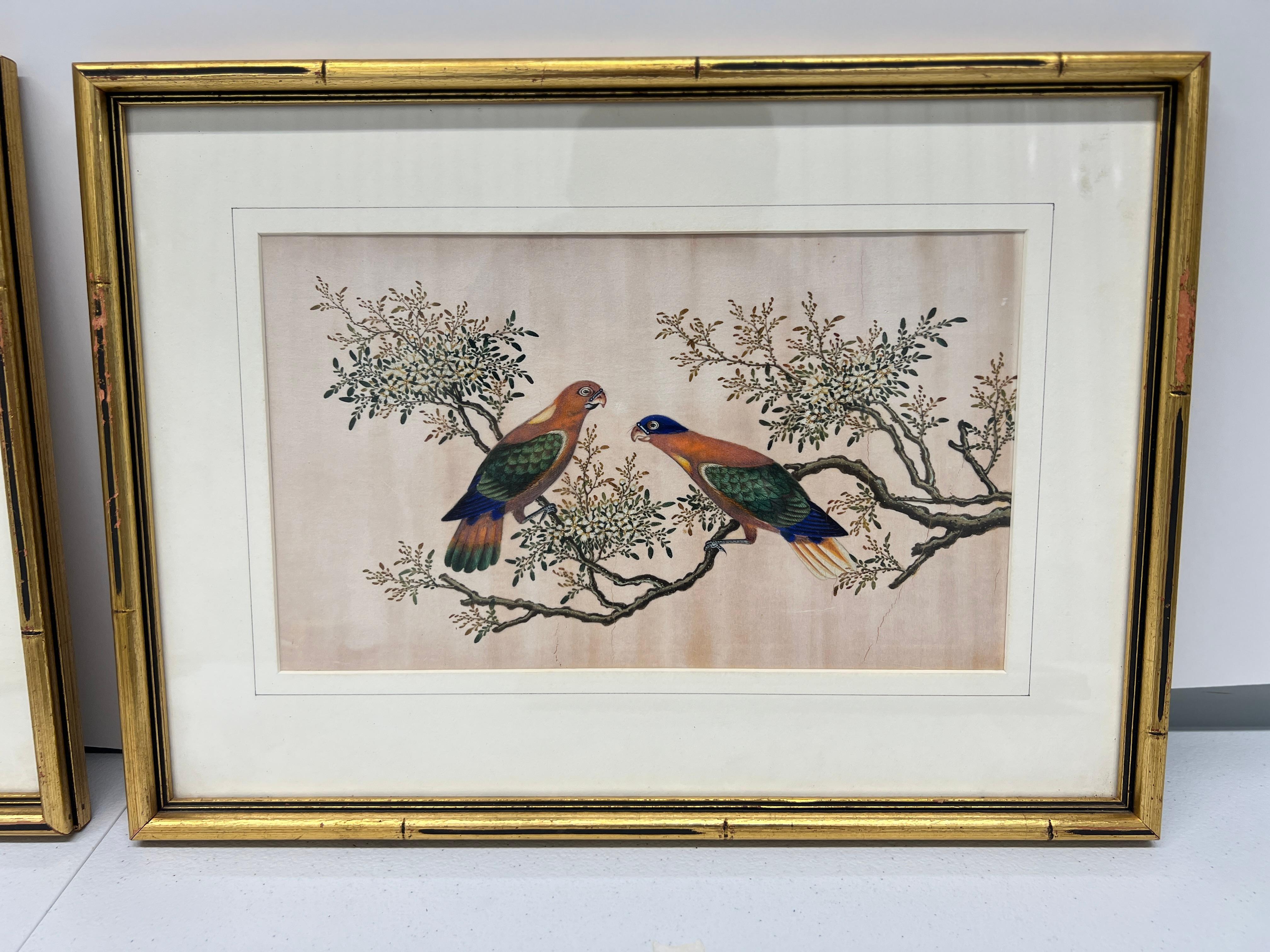 Giltwood Set of 4, 19th Century Chinese Export Ornithological Pith Paintings
