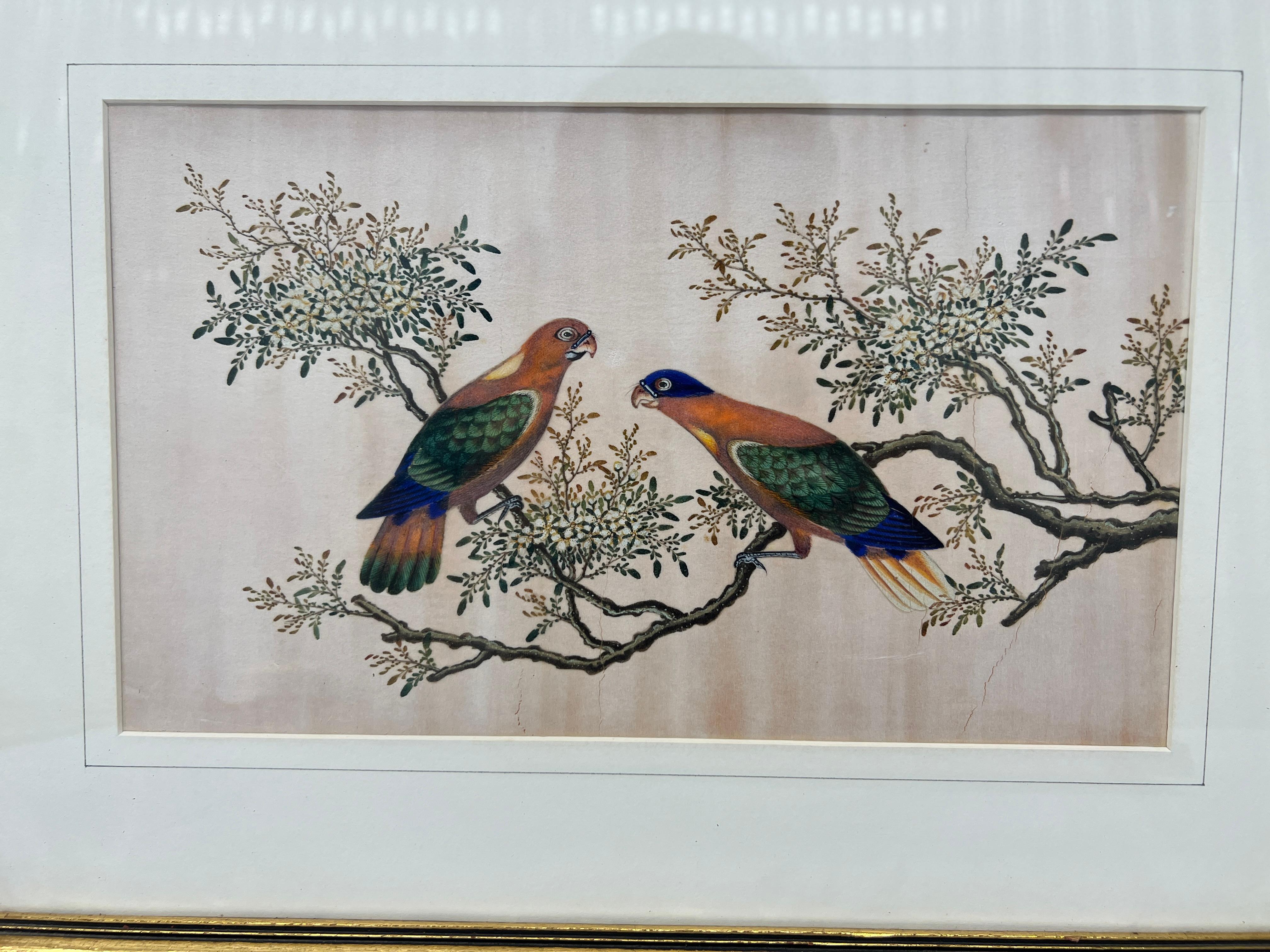 Set of 4, 19th Century Chinese Export Ornithological Pith Paintings 1