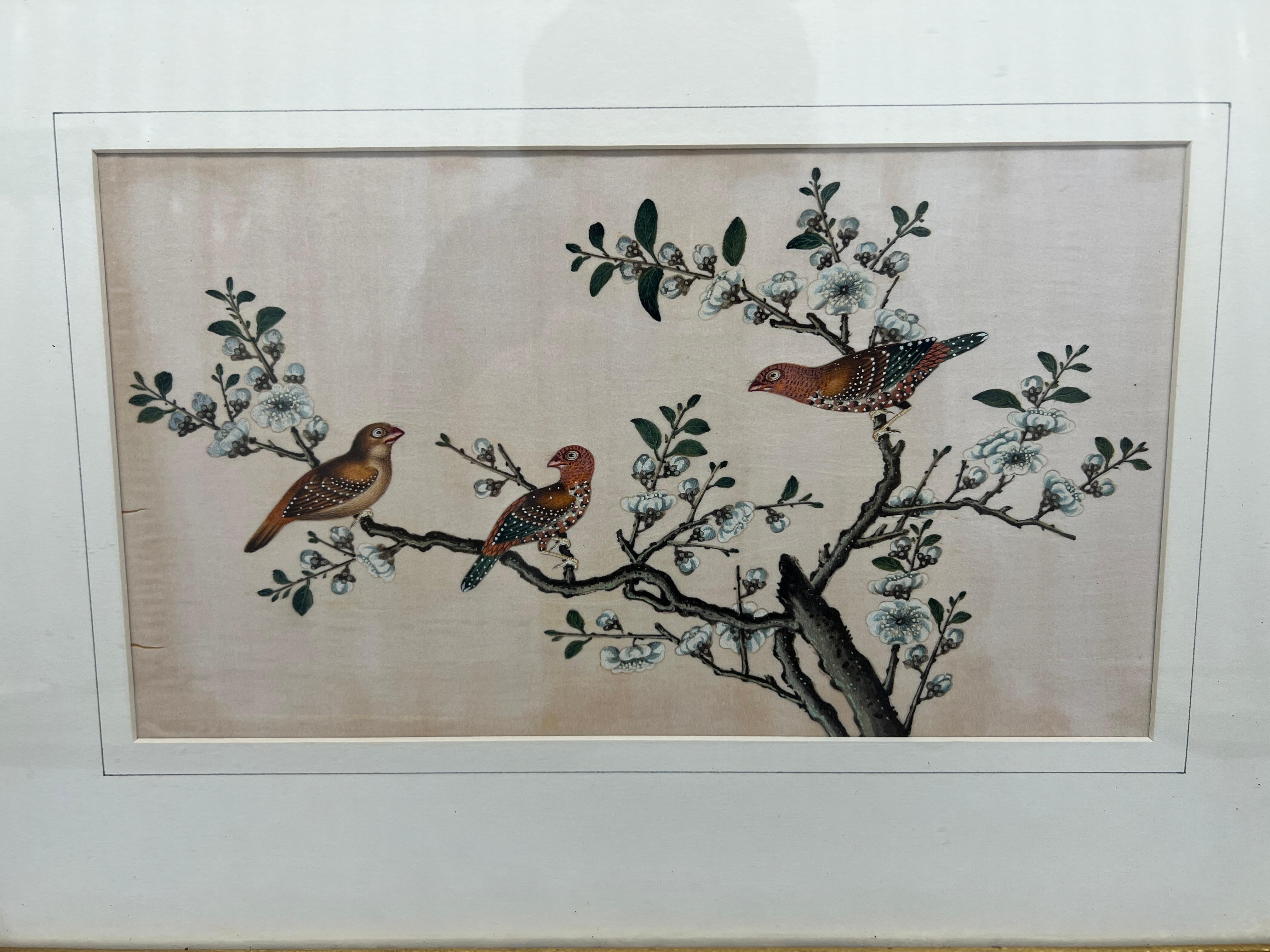Set of 4, 19th Century Chinese Export Ornithological Pith Paintings 2