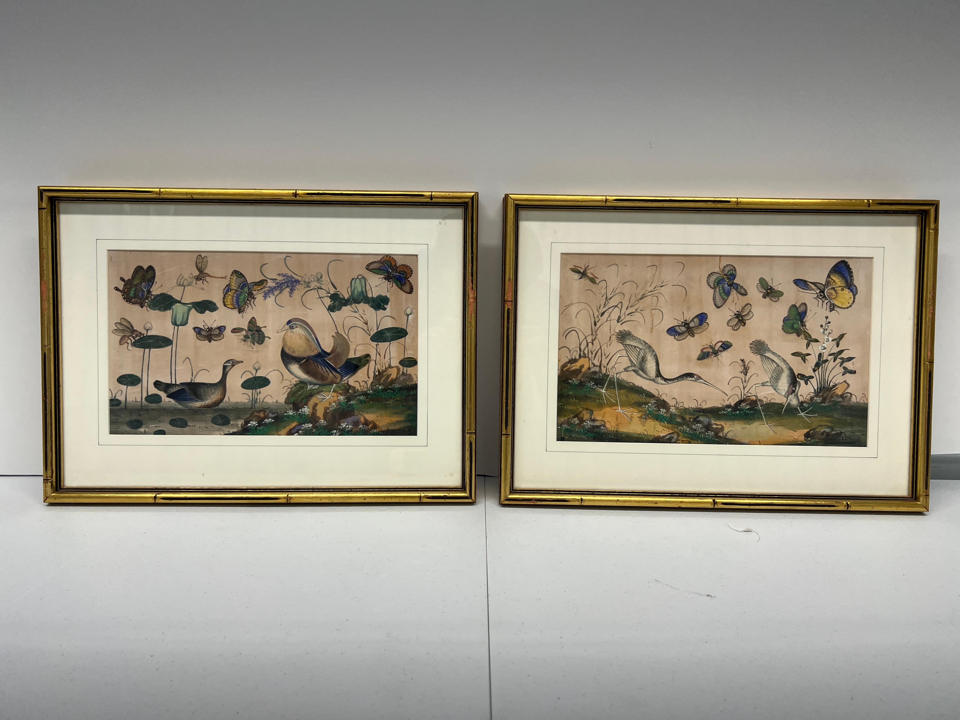 Set of 4, 19th Century Chinese Export Ornithological Pith Paintings 3