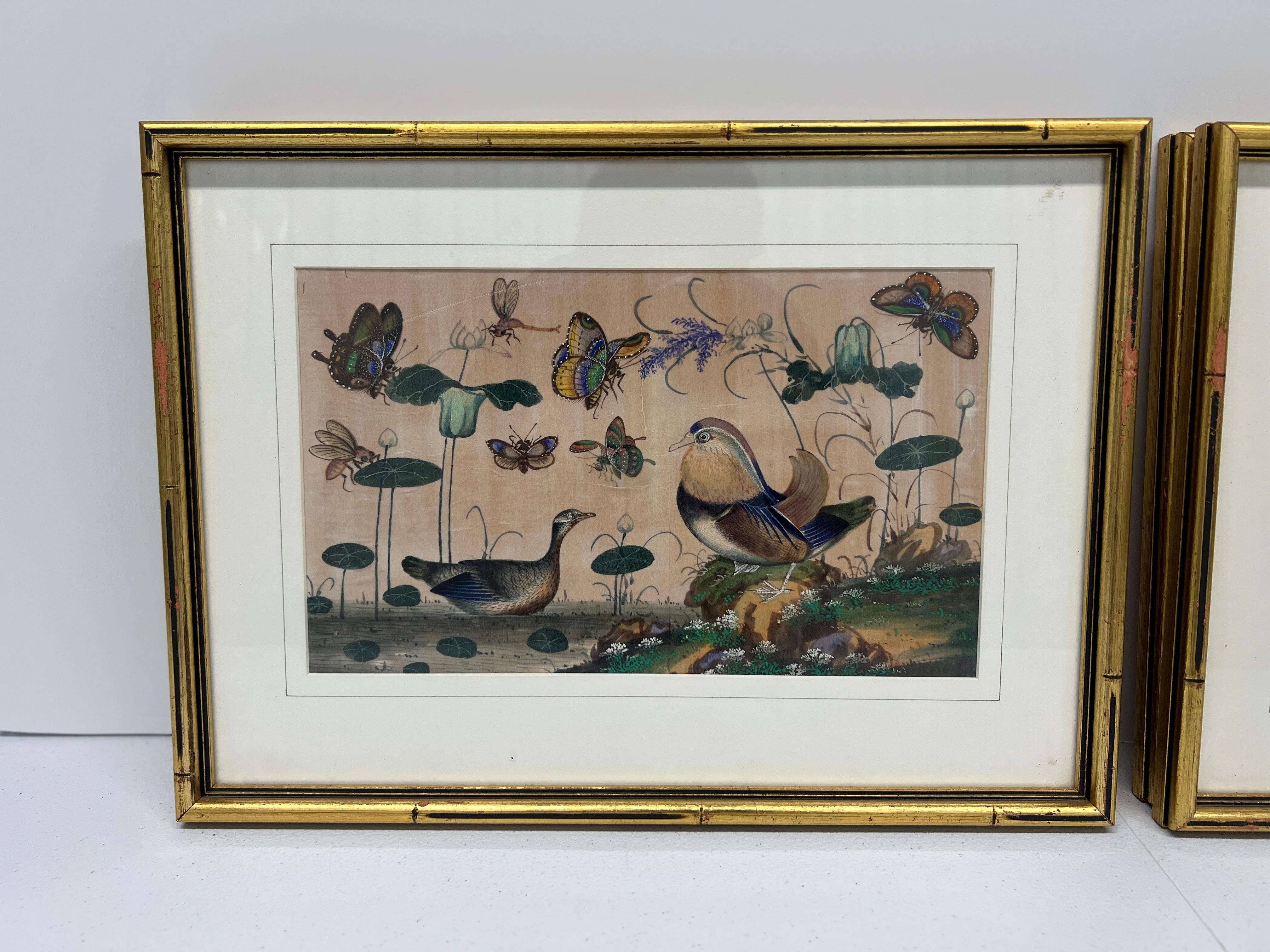 Set of 4, 19th Century Chinese Export Ornithological Pith Paintings 4