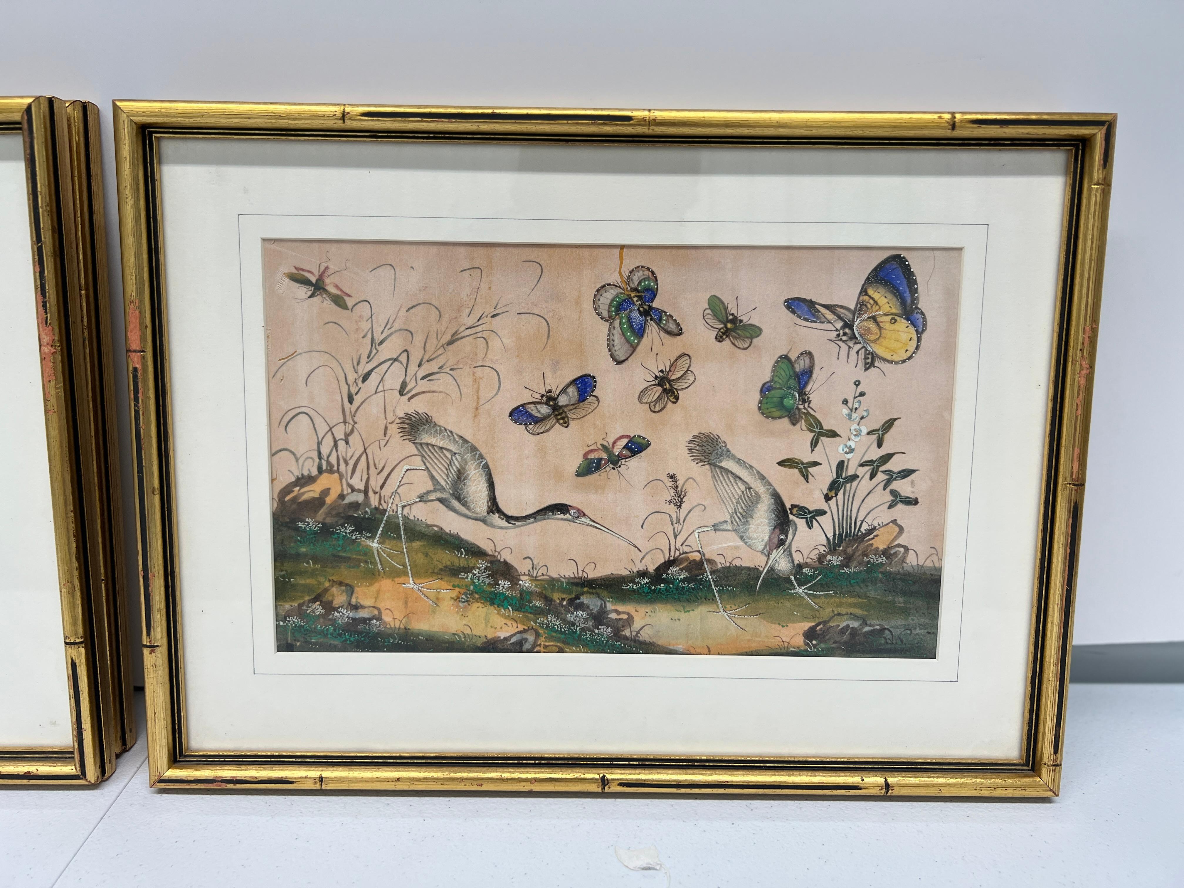 Set of 4, 19th Century Chinese Export Ornithological Pith Paintings 5