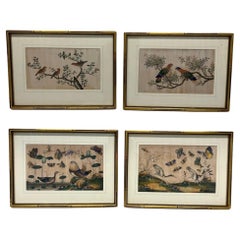 Juego de 4, Pinturas ornitológicas de exportación chinas del siglo XIX