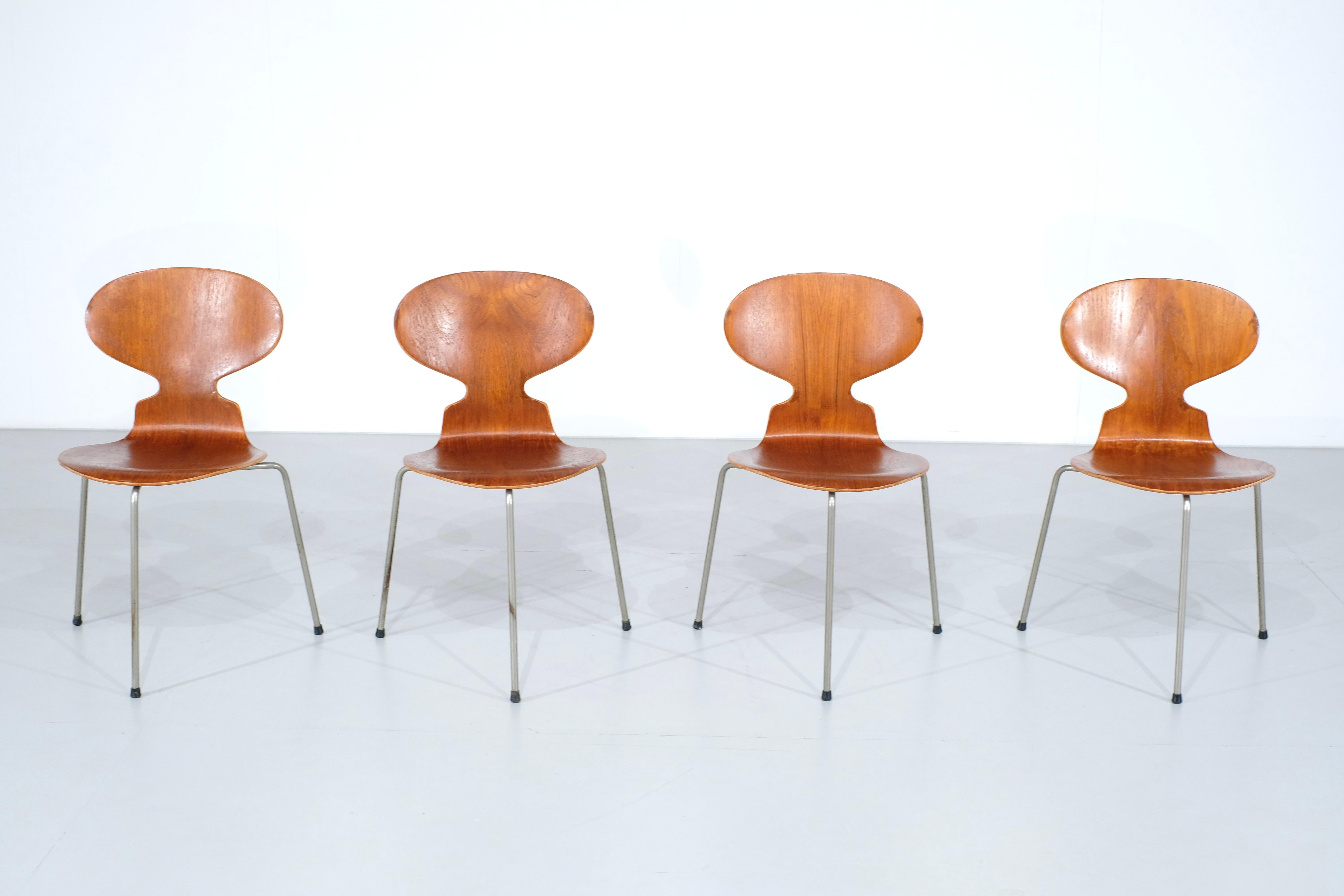 set di 4 sedie Ant modello 3100 in teak di Arne Jacobsen o Fritz Hansen - anni '50 in vendita 1