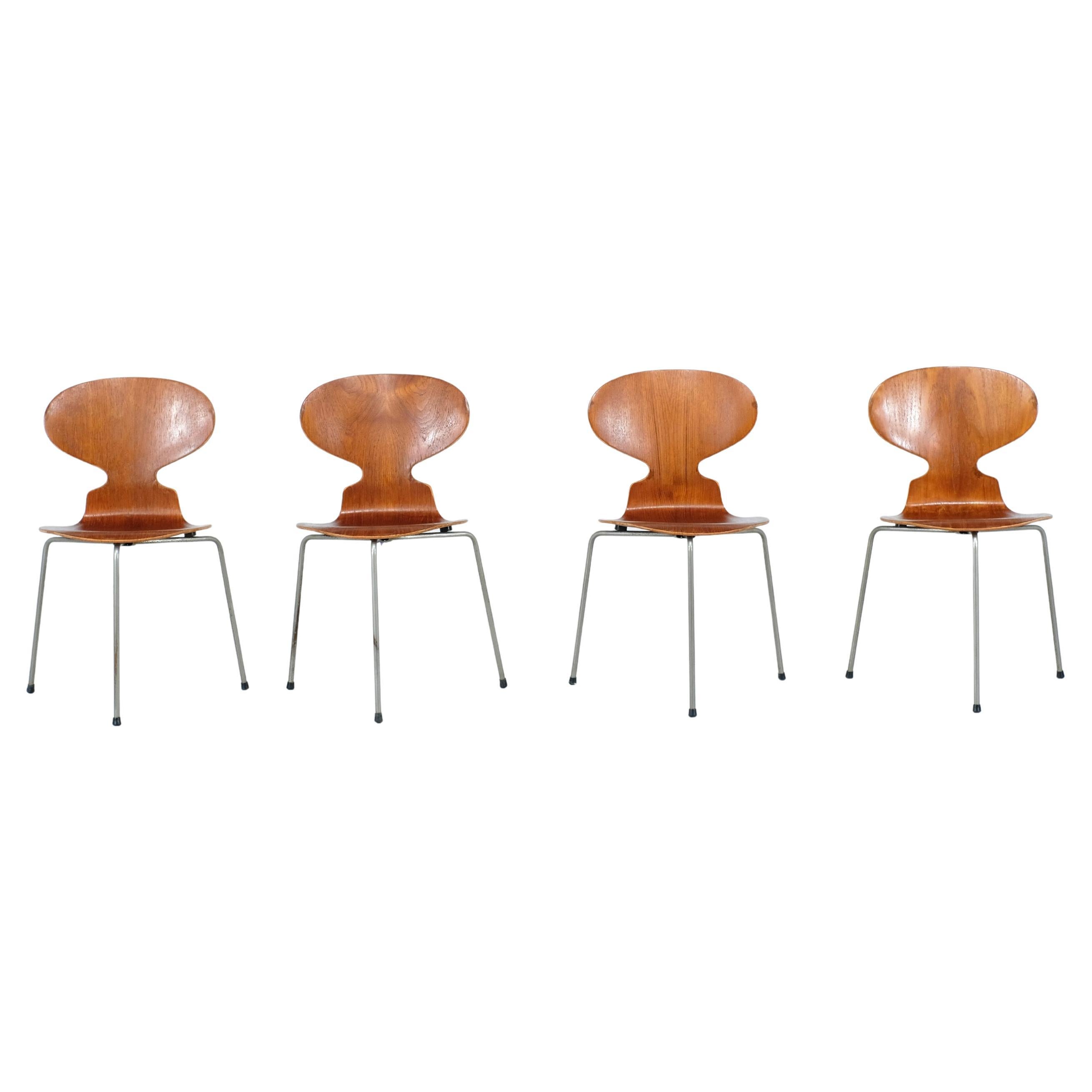 ensemble de 4 chaises Fourmi modèle 3100 en teck par Arne Jacobsen ou Fritz Hansen - années 1950