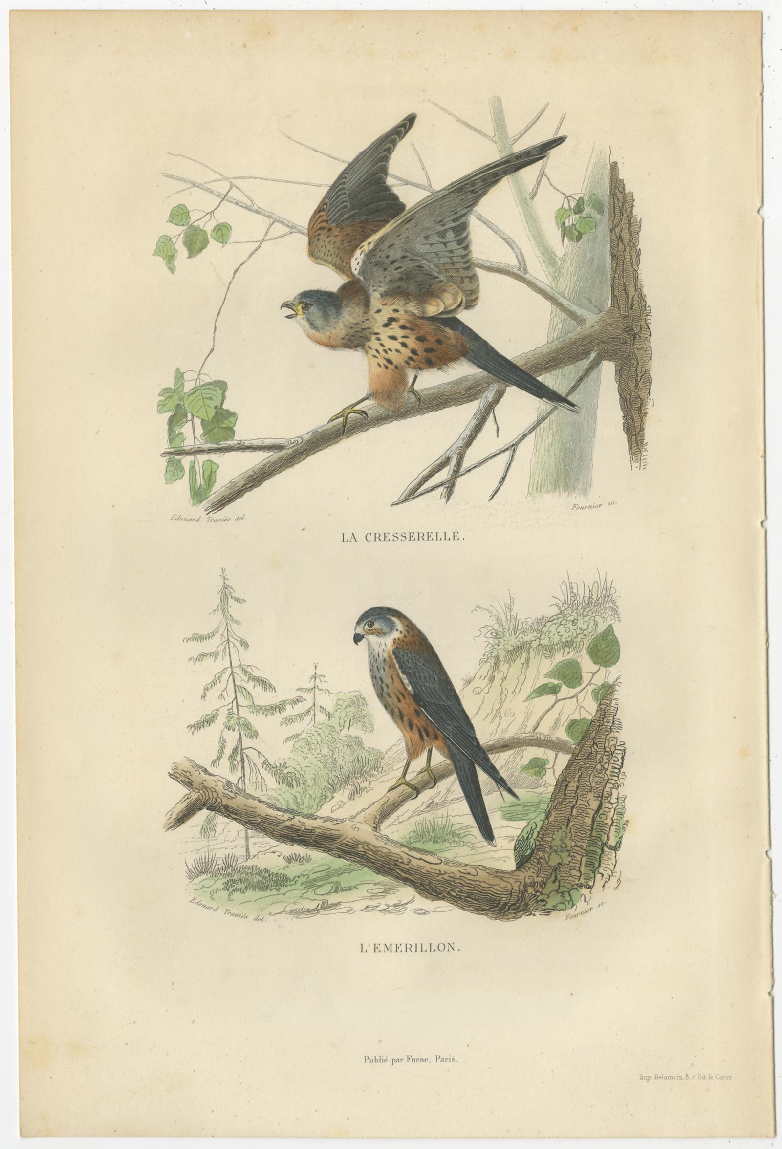 Paper Set of 4 Antique Bird Prints Osprey, Eagle, Buzzard, Falcon by Buffon, 1839 For Sale
