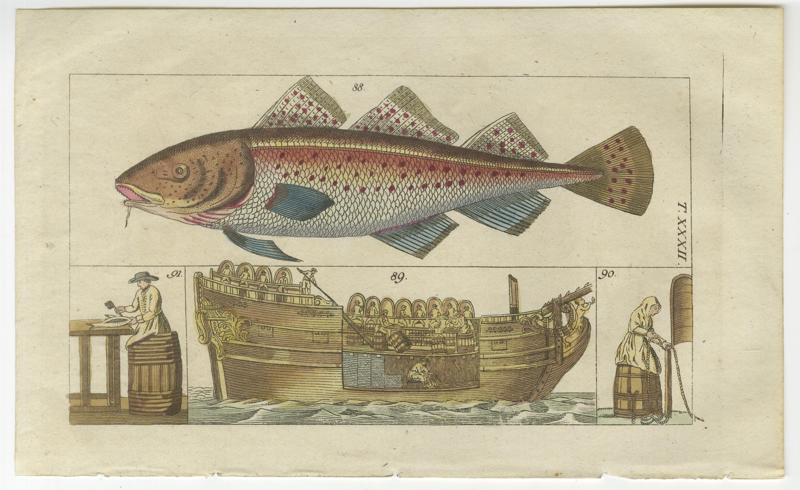 Set of 4 Antique Fish Prints - Beluga Sturgeon - Pollock - Atlantic Cod In Good Condition For Sale In Langweer, NL