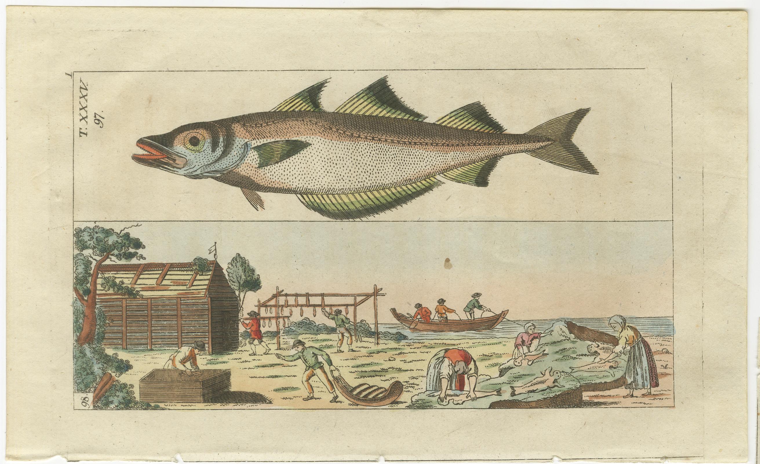 19th Century Set of 4 Antique Fish Prints - Beluga Sturgeon - Pollock - Atlantic Cod For Sale
