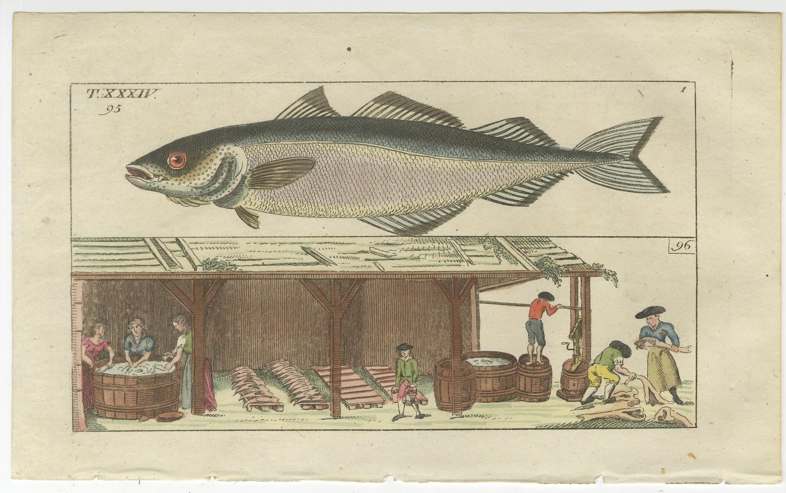 Paper Set of 4 Antique Fish Prints - Beluga Sturgeon - Pollock - Atlantic Cod For Sale
