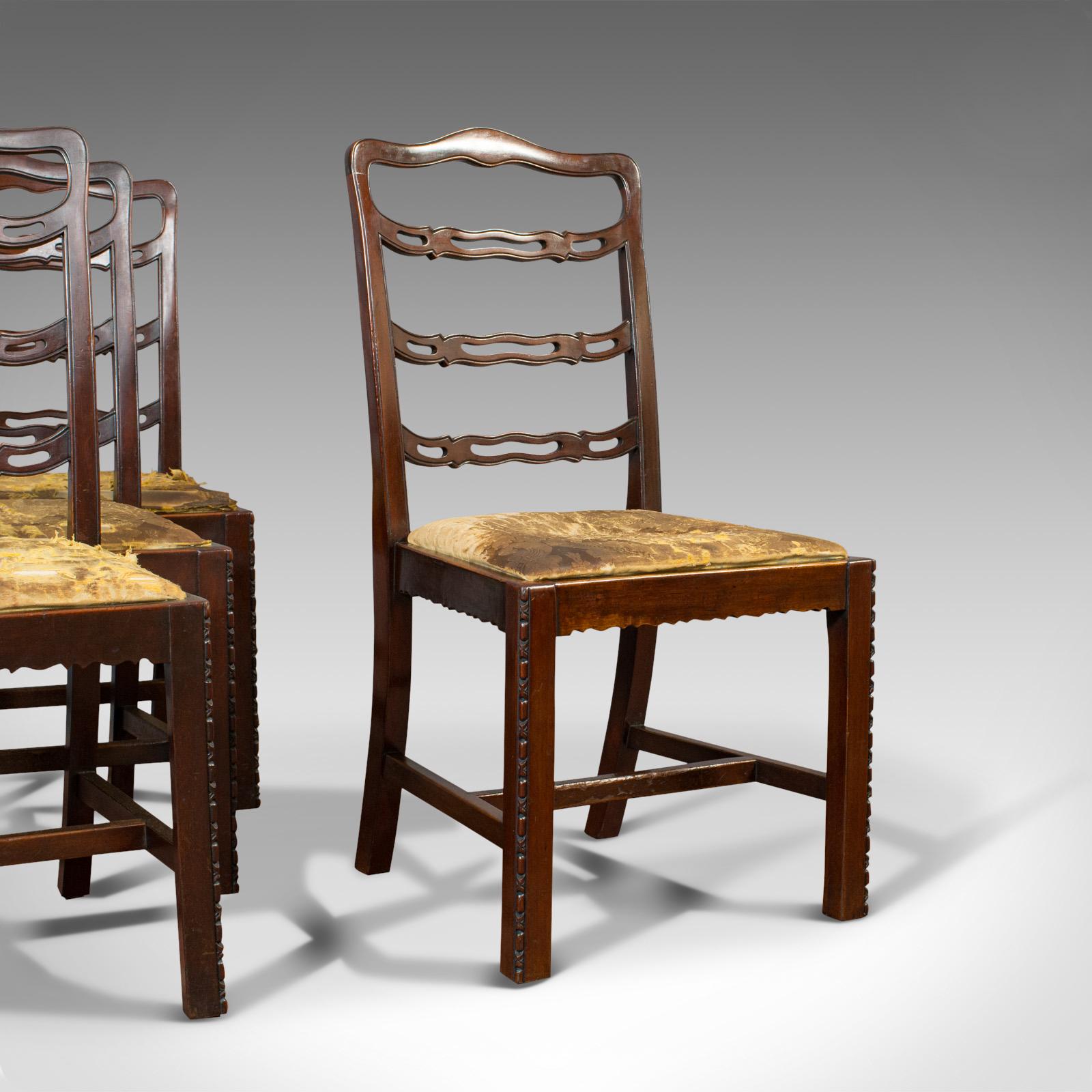 Dies ist ein Satz von 4 antiken Stühlen mit Leiterrücken. Ein irischer Esszimmerstuhl aus Mahagoni, aus der späten viktorianischen Zeit, um 1880.

Wunderschöne Rahmen, ideal für die Neupolsterung
Mit wünschenswerter Alterspatina
Mahagoni mit