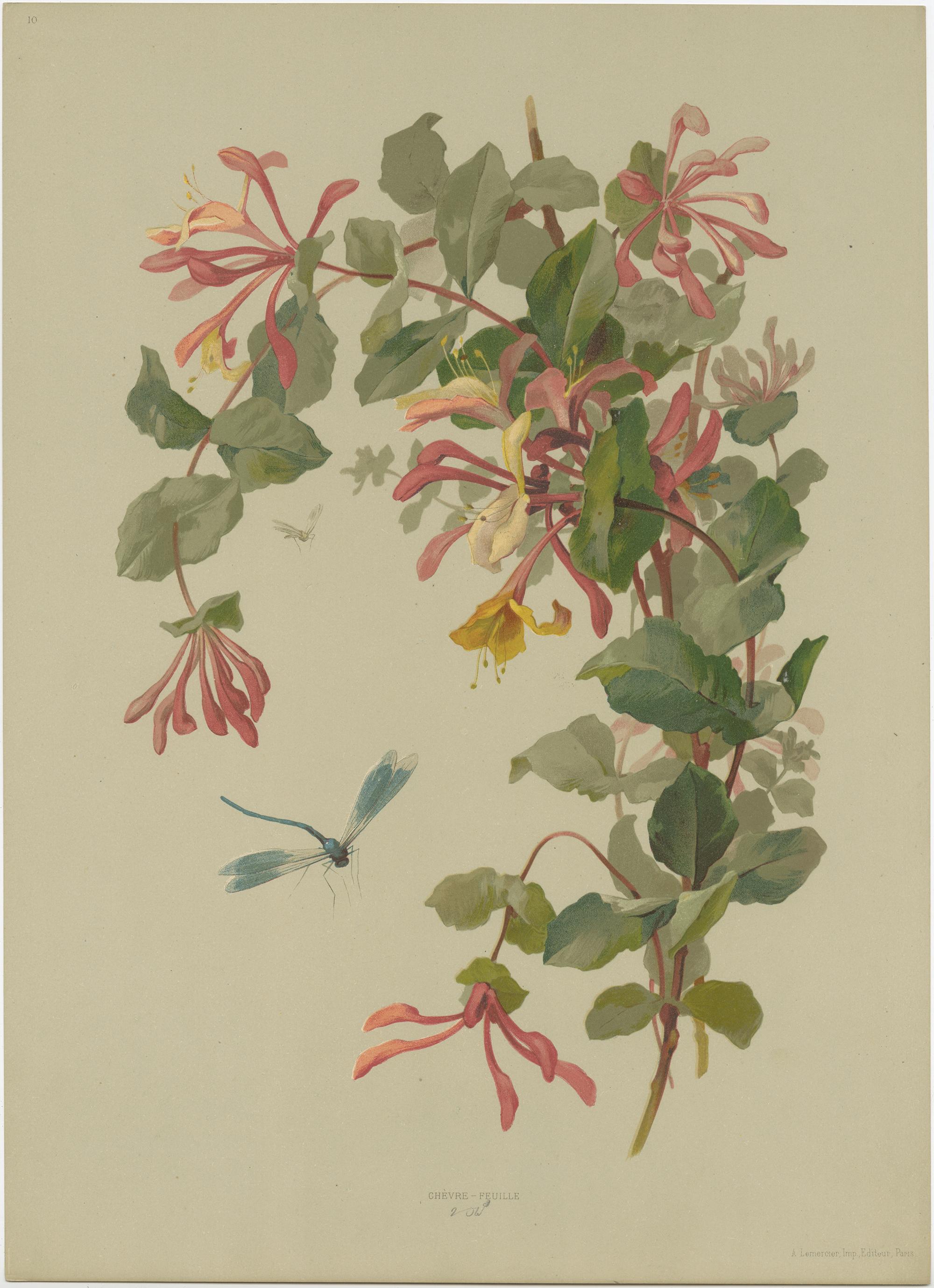 Set of four original lithographs of various plants, flowers and insects. Published by A. Lemercier in Paris, circa 1890.