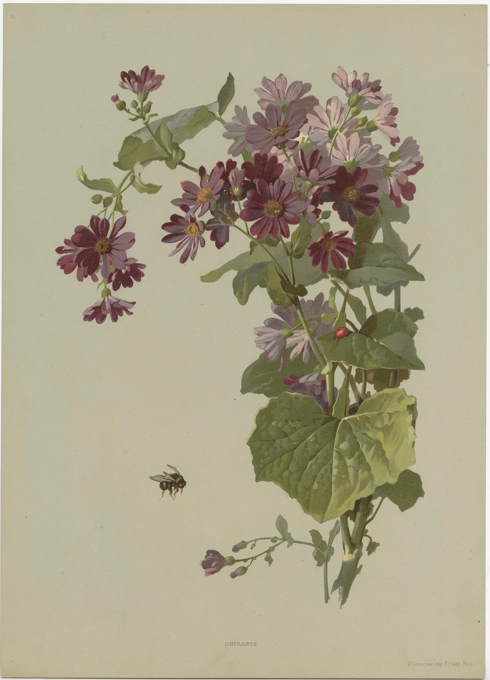 Set of 4 Antique Prints of Various Plants, Flowers and Insects by Lemercier In Fair Condition In Langweer, NL