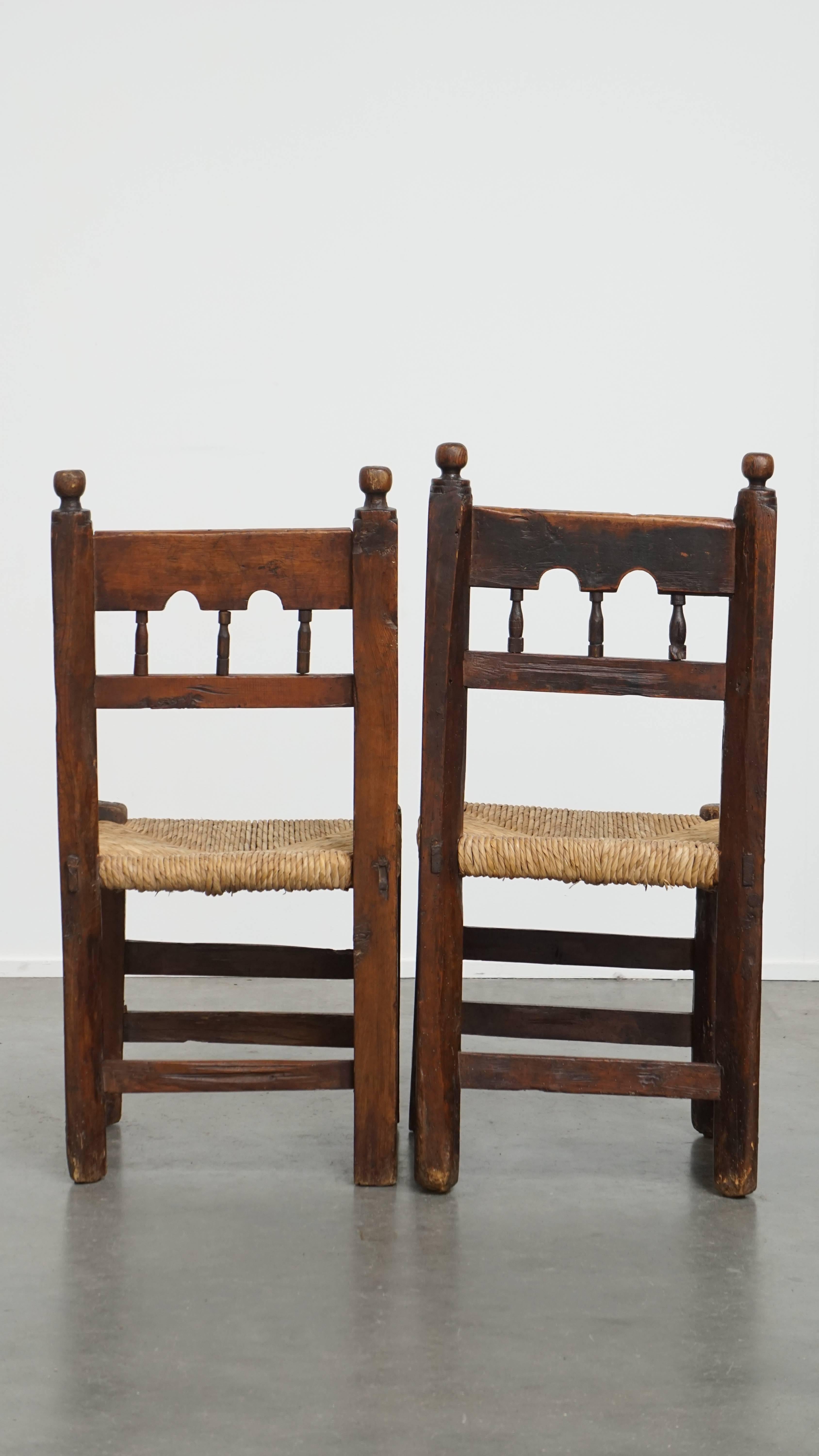 Set of 4 Antique Spanish Country Chairs with Woven Rattan Seats In Fair Condition For Sale In Harderwijk, NL