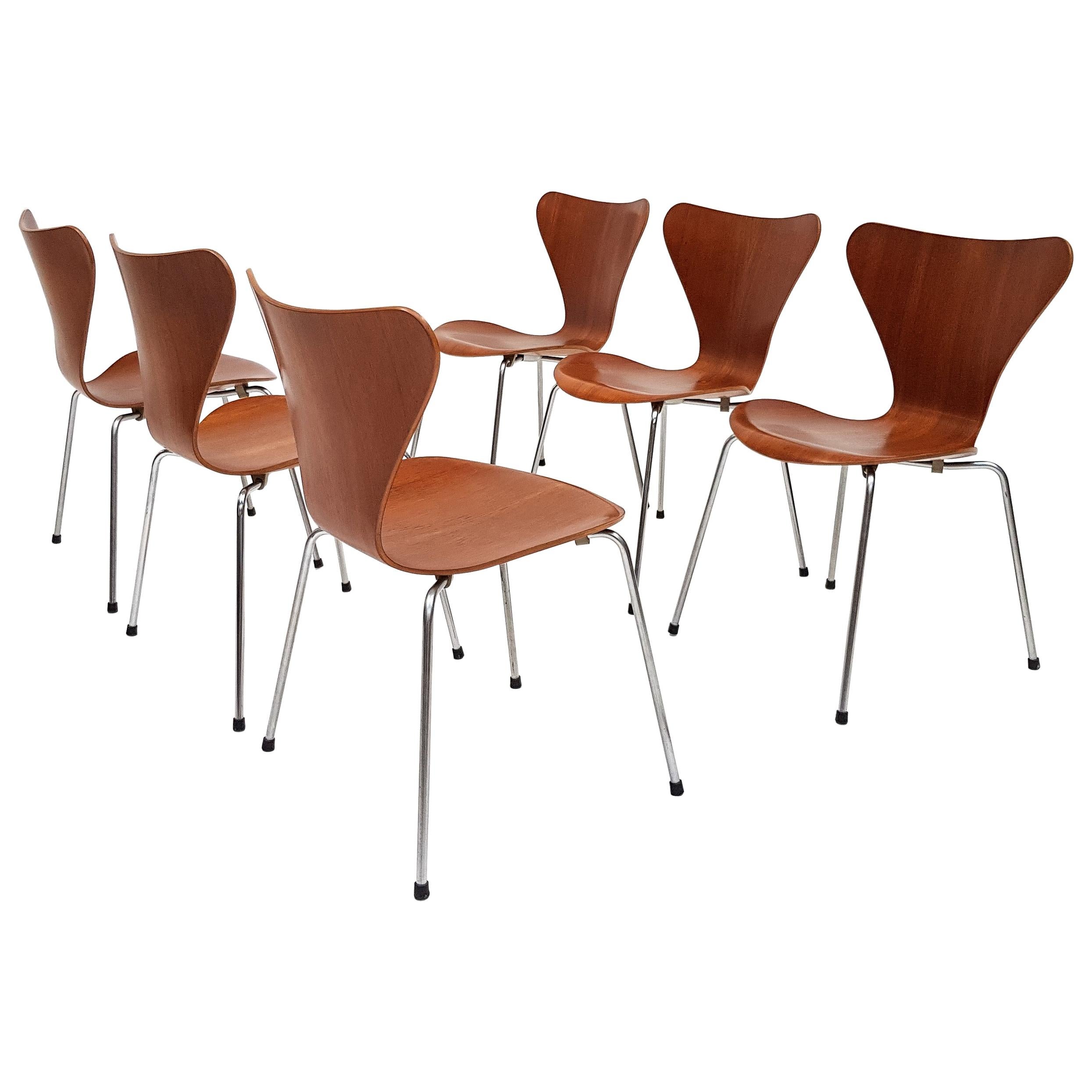 Set of 6 Arne Jacobsen "Series 7" Model 3107 Chairs in Teak, Designed, 1955