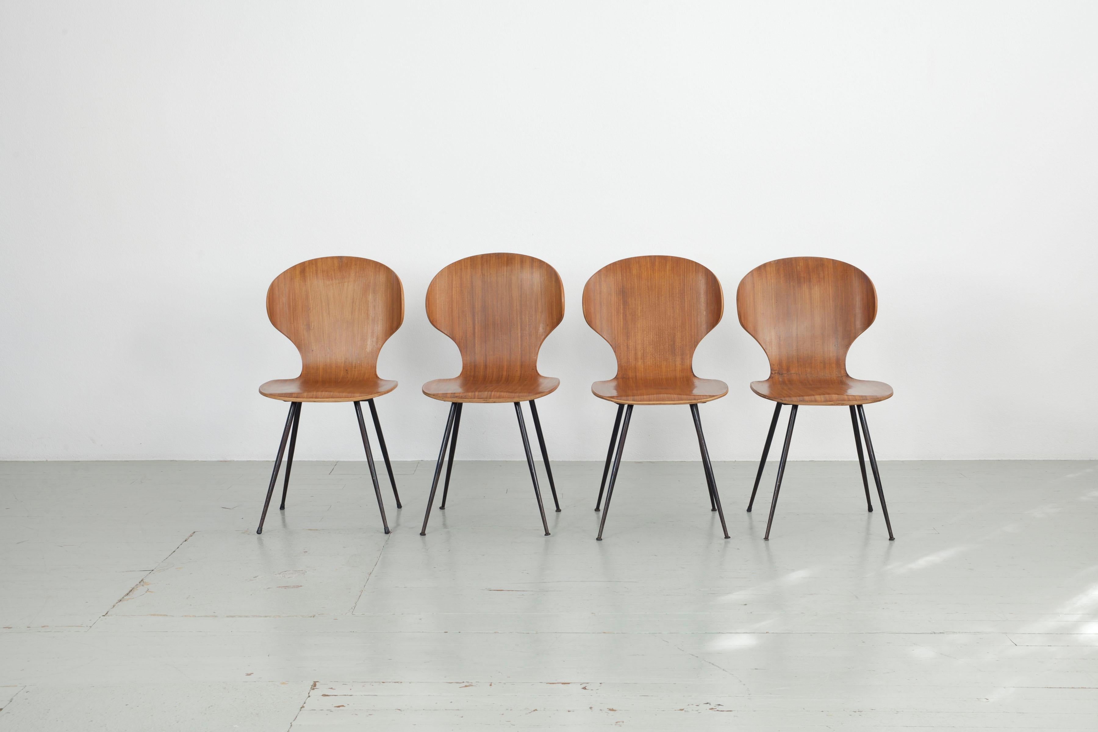 Ce modèle de chaise italienne a été conçu dans les années 1950 par Carlo Ratti pour Industira Legni Curvati Lissoni et est composé de bois courbé et de pieds en métal laqué noir. Les formes arrondies et les pieds fins confèrent à la chaise de