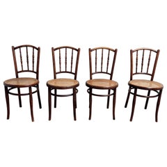 Ensemble de 4 chaises en bois courbé de Jacob U. Josef Kohn 'Similar to Thonet':: années 1920