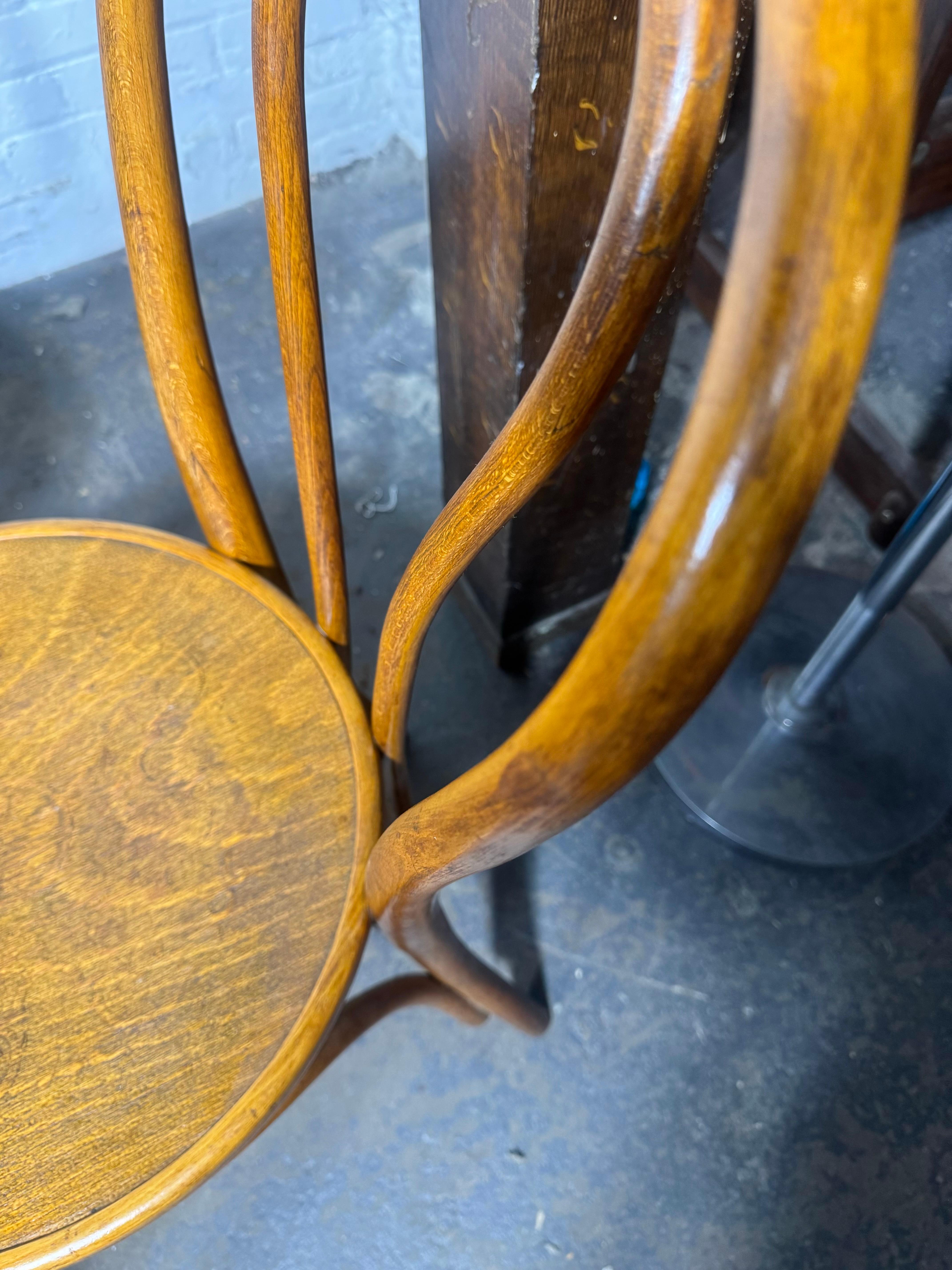 4er Set Bugholz-Esszimmerstühle EMBOSSED SEATS Made in Austria by Thonet im Angebot 3