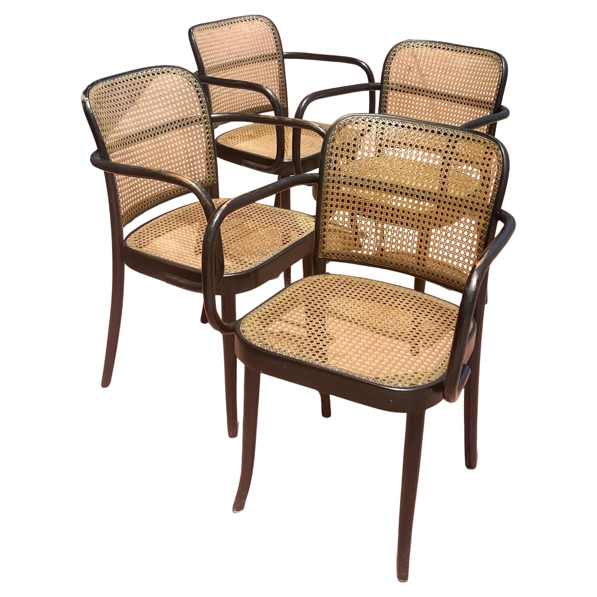 Ceco Rare Set of 4 Bentwood Prague Model 811 Armchairs by Josef Hoffmann for Stendig in vendita