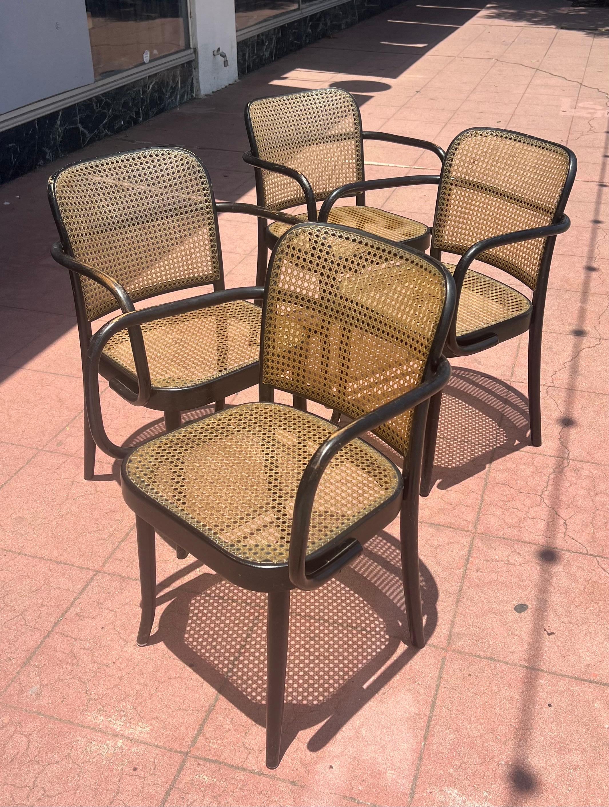 XX secolo Rare Set of 4 Bentwood Prague Model 811 Armchairs by Josef Hoffmann for Stendig in vendita