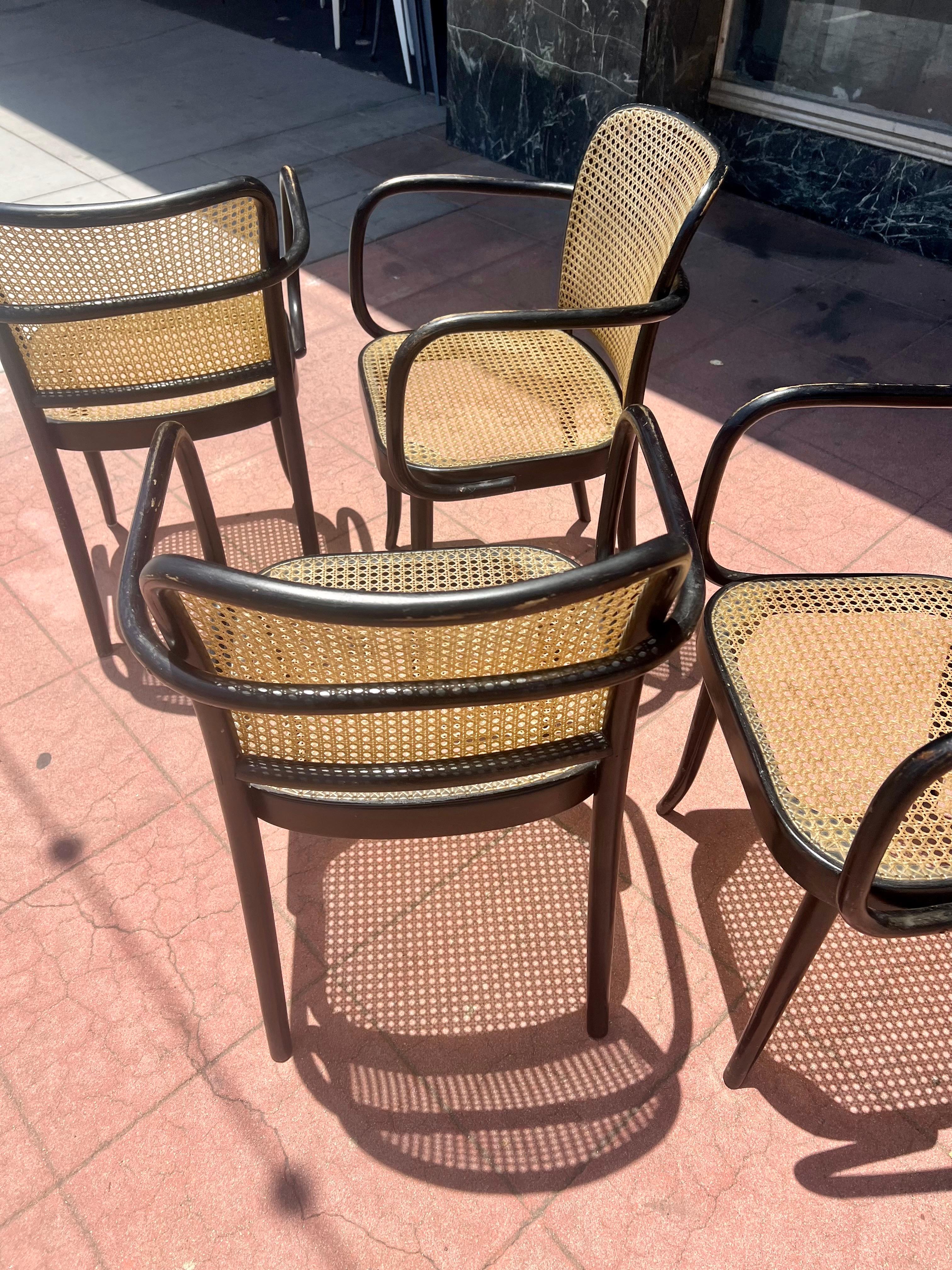 Legno Rare Set of 4 Bentwood Prague Model 811 Armchairs by Josef Hoffmann for Stendig in vendita