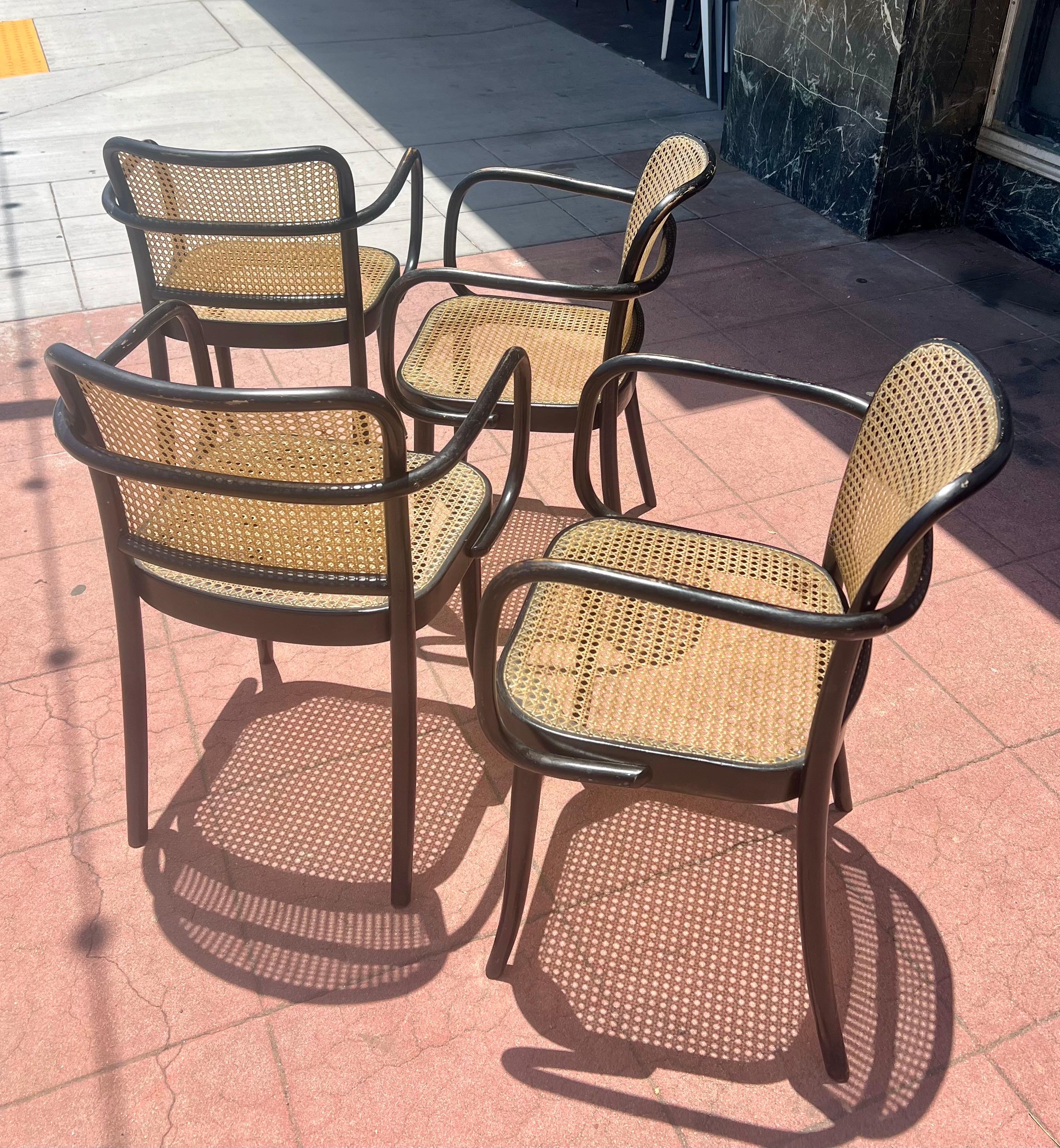 Rare Set of 4 Bentwood Prague Model 811 Armchairs by Josef Hoffmann for Stendig in vendita 1