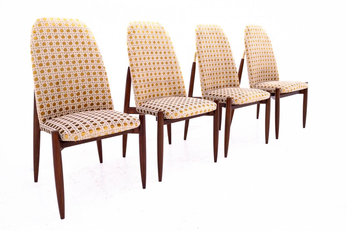 Ensemble de 4 chaises, Tchécoslovaquie, années 1950. Après la rénovation en vente 3