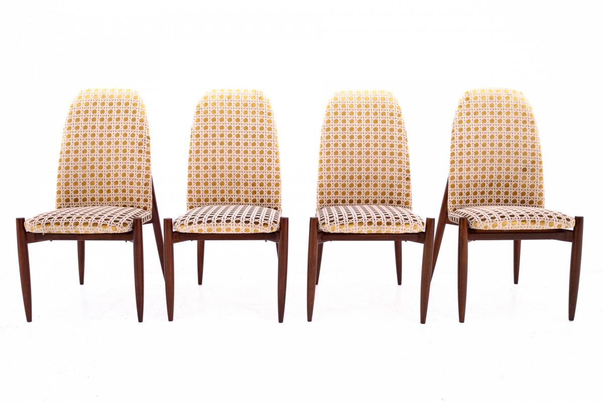 Ensemble de 4 chaises, Tchécoslovaquie, années 1950. Après la rénovation en vente 5