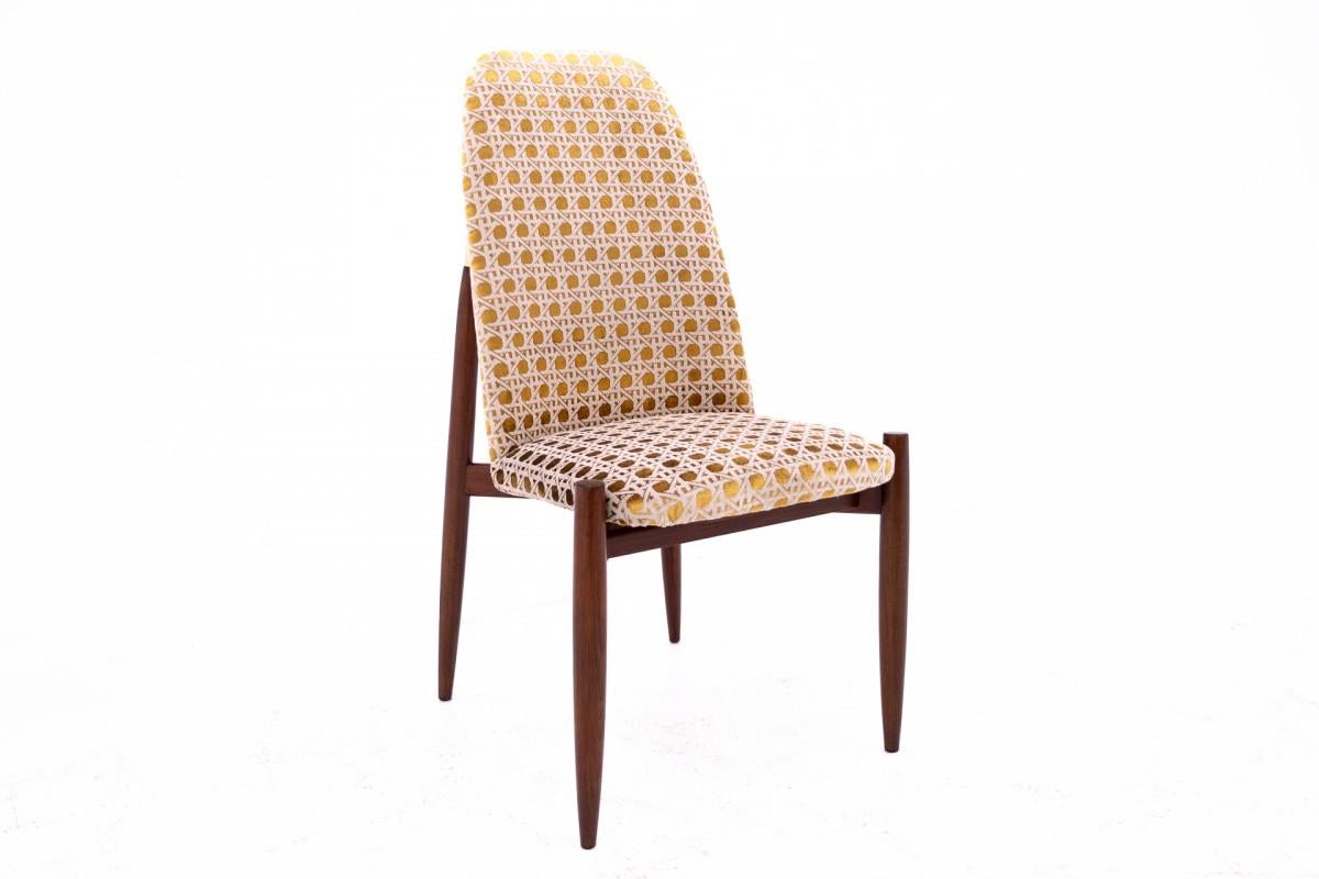 Milieu du XXe siècle Ensemble de 4 chaises, Tchécoslovaquie, années 1950. Après la rénovation en vente