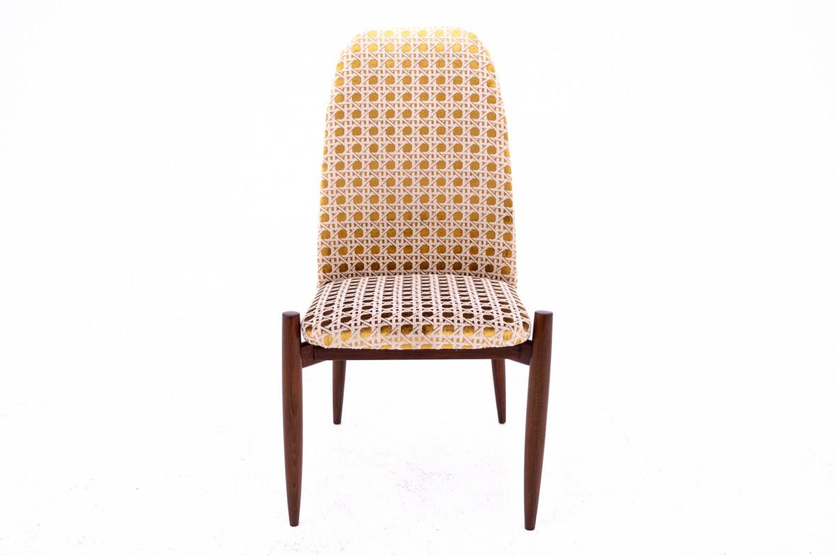 Ensemble de 4 chaises, Tchécoslovaquie, années 1950. Après la rénovation en vente 1