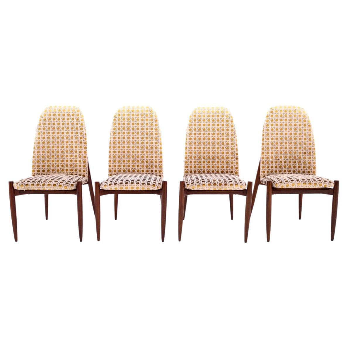 Ensemble de 4 chaises, Tchécoslovaquie, années 1950. Après la rénovation en vente